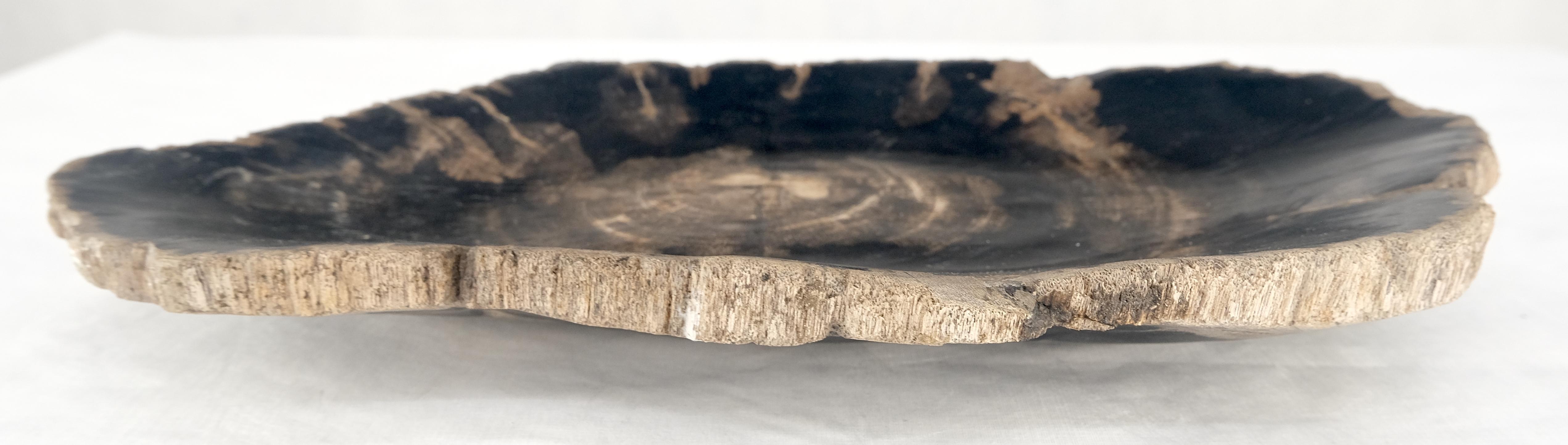  Plateau en forme d'huître en bois pétrifié noir et feu Cendrier en forme de bol et d'assiette