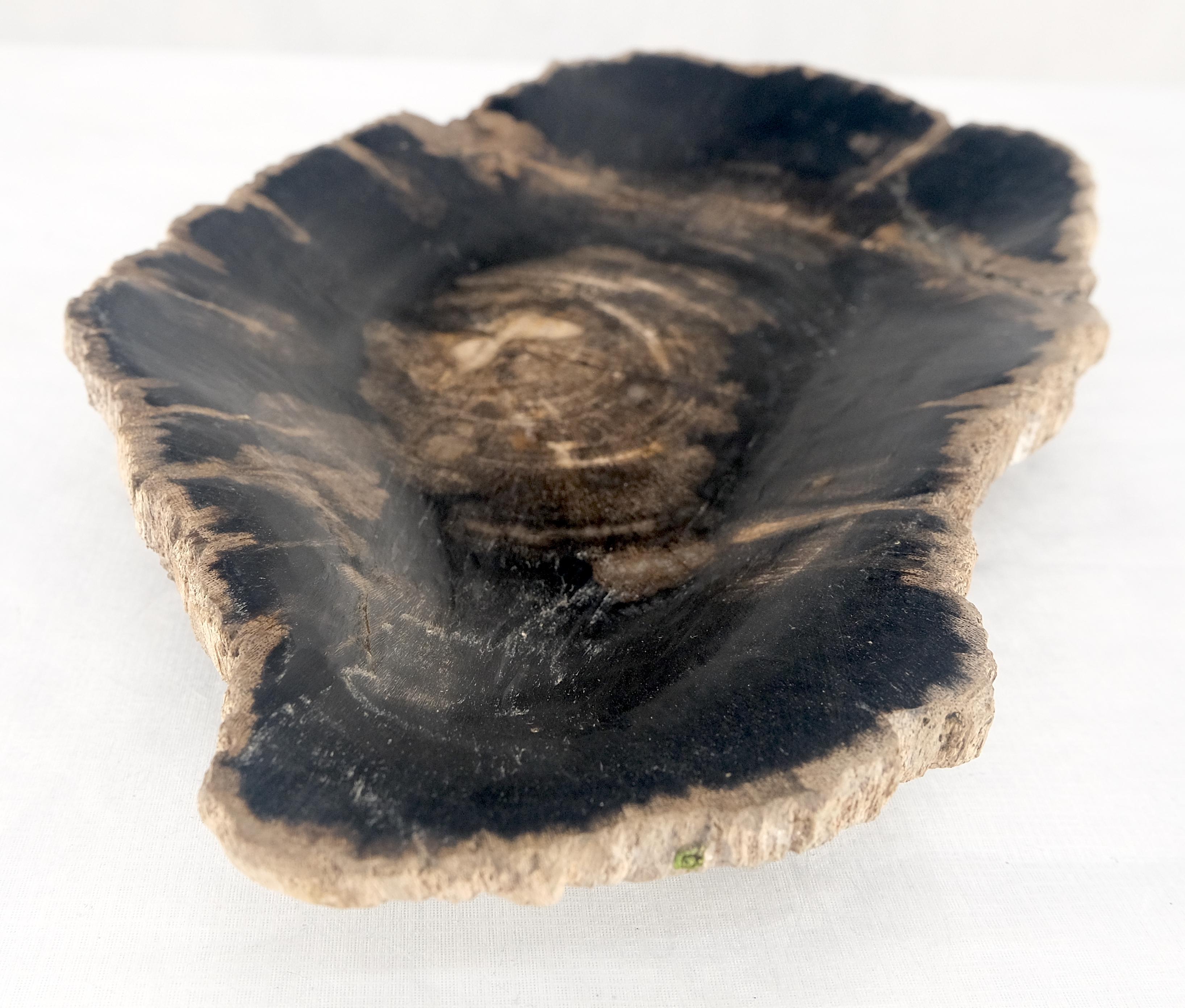 Plateau en forme d'huître en bois pétrifié noir et feu Cendrier en forme de bol et d'assiette Excellent état - En vente à Rockaway, NJ