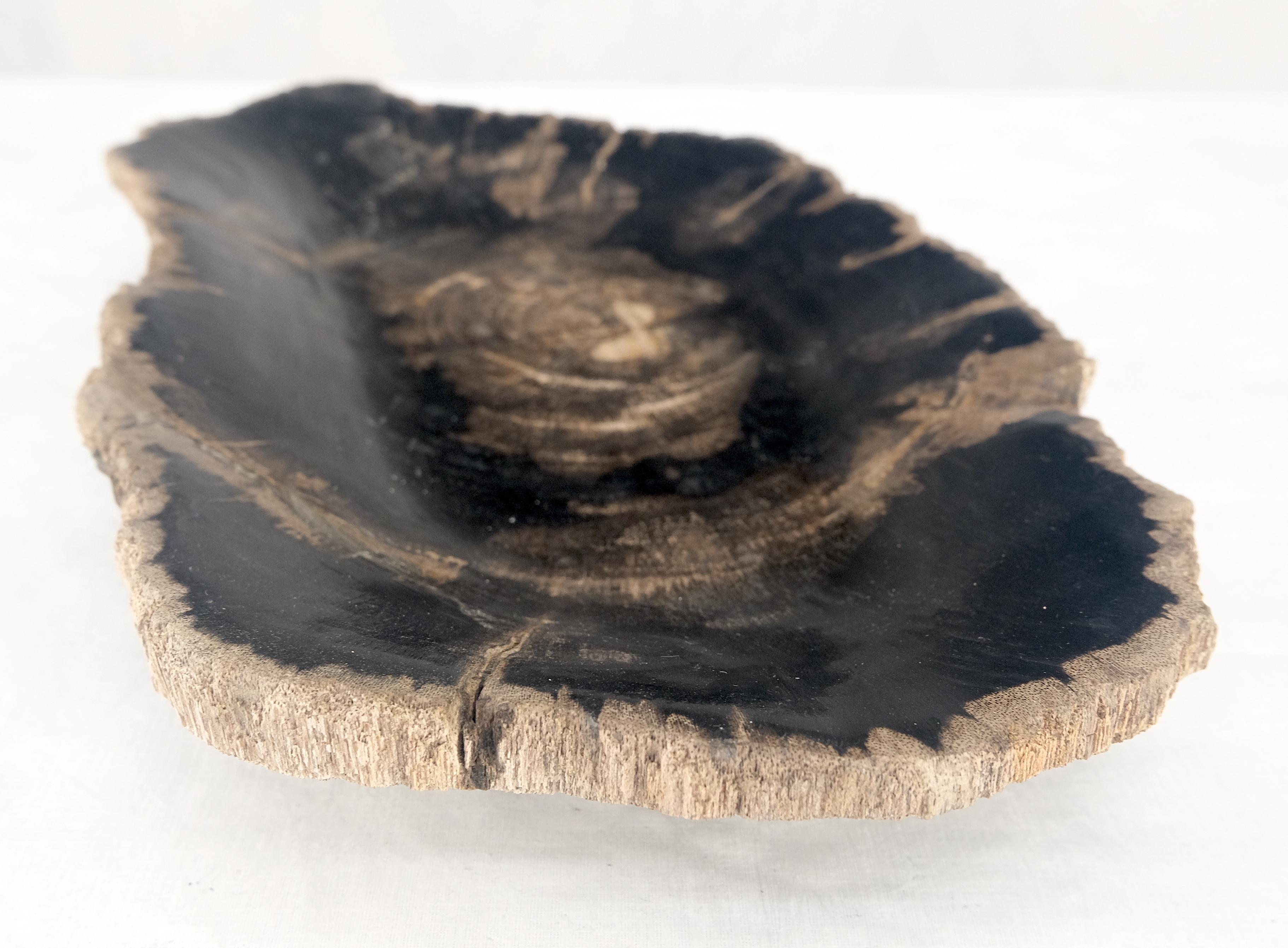 XXIe siècle et contemporain Plateau en forme d'huître en bois pétrifié noir et feu Cendrier en forme de bol et d'assiette en vente