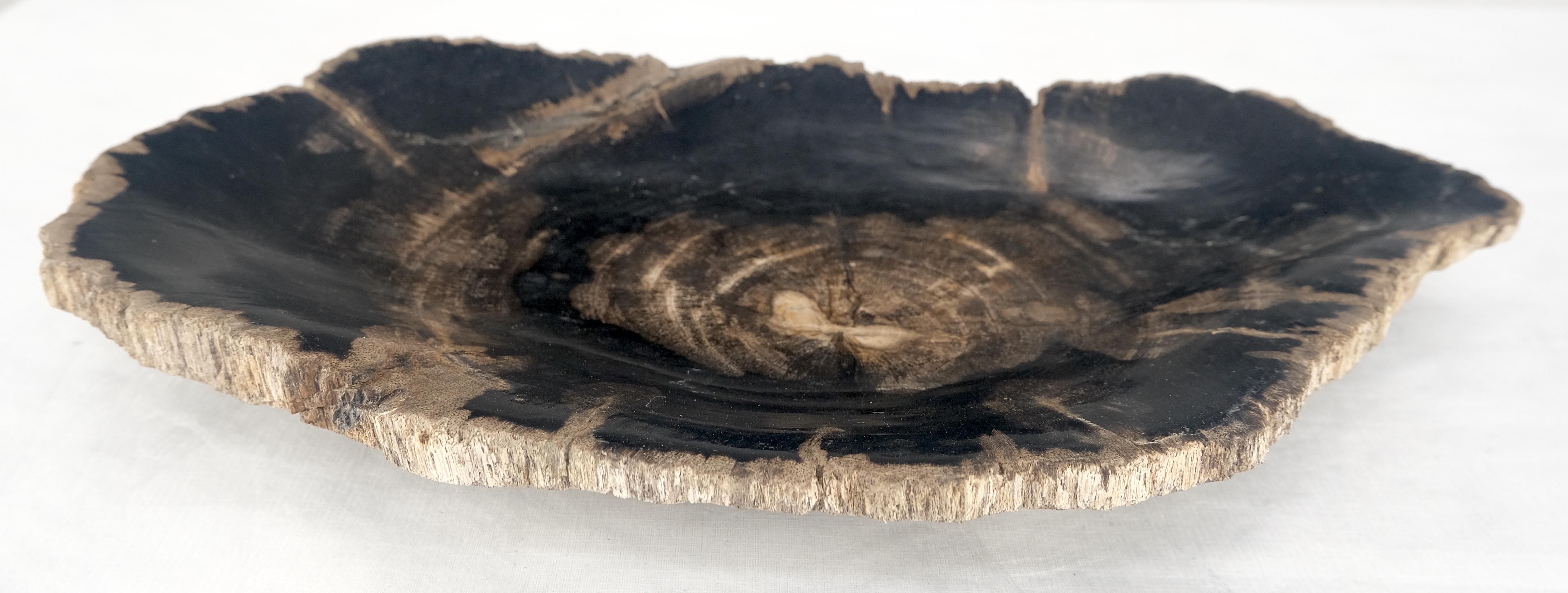 Bois fossilisé Plateau en forme d'huître en bois pétrifié noir et feu Cendrier en forme de bol et d'assiette en vente