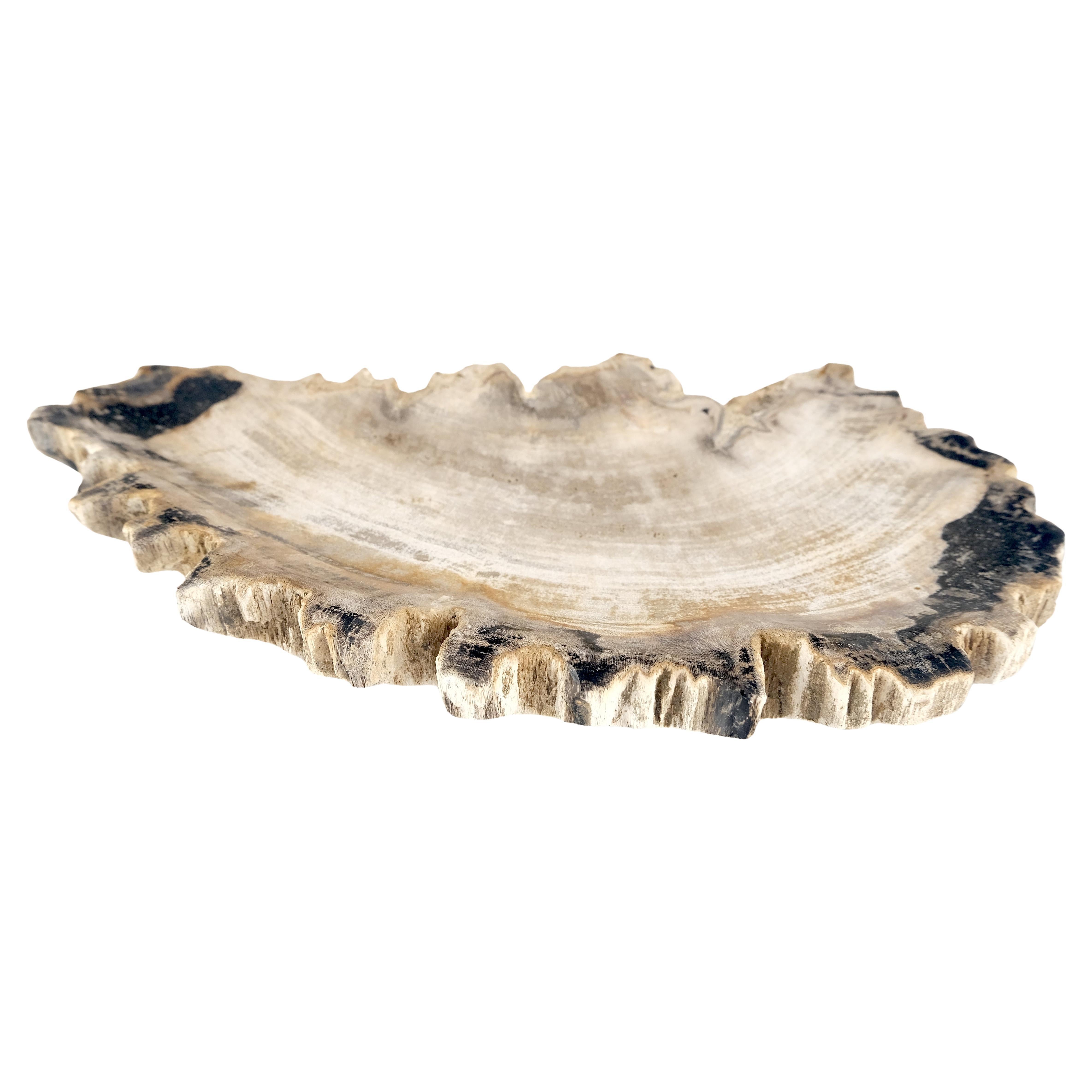 Organic Oyster Shape Black & Tan Petrified Wood Tray Bowl Dish Plate Ashtray
