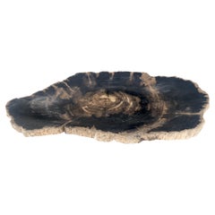 Bandeja de madera petrificada con forma de ostra orgánica Negro y tostado Plato Cenicero