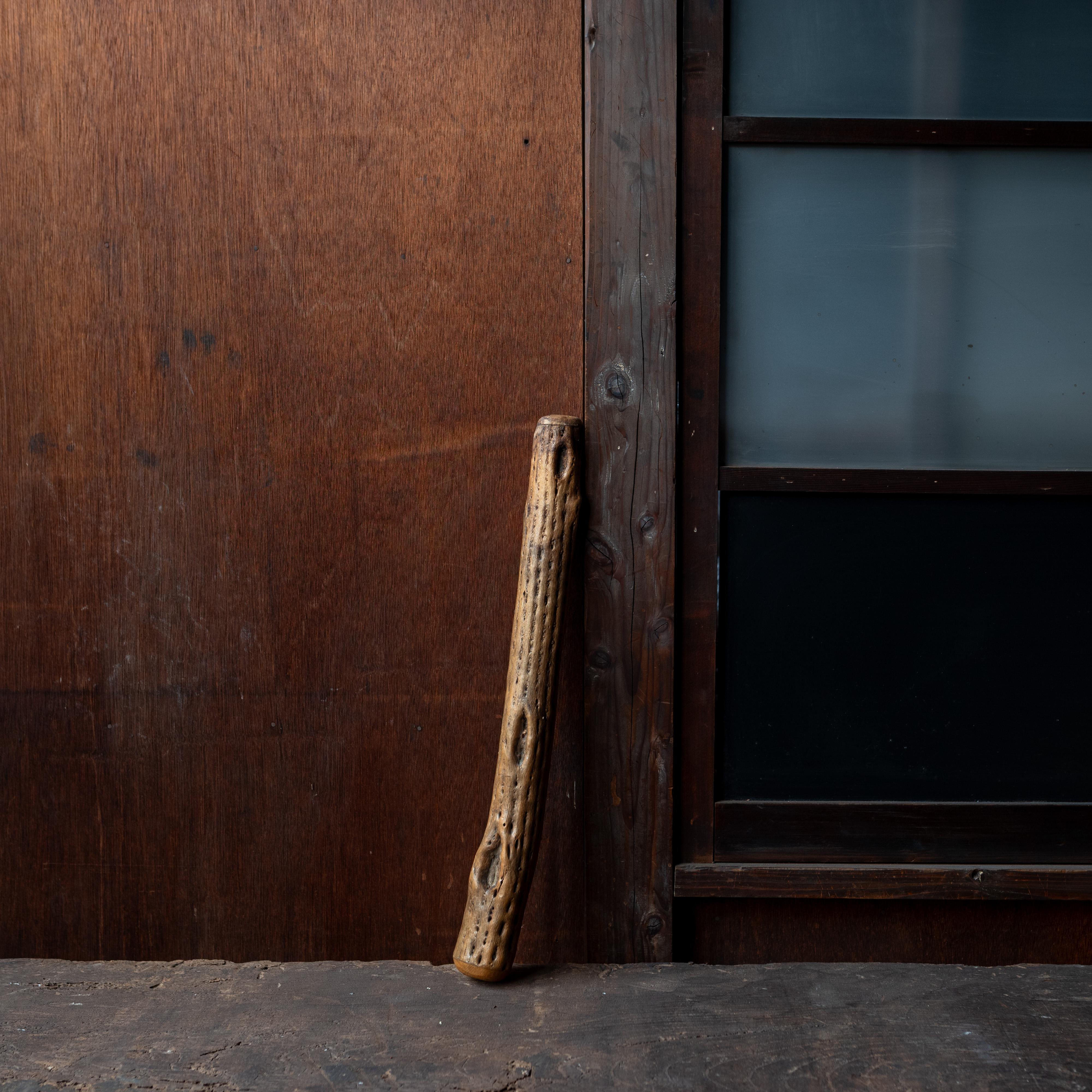 A sculptural and organically textured rain stick, likely carved from dried cholla cactus wood. The porous, lattice-like structure of the cactus gives this piece a dramatic natural presence, both visually and acoustically.

When gently tilted, the