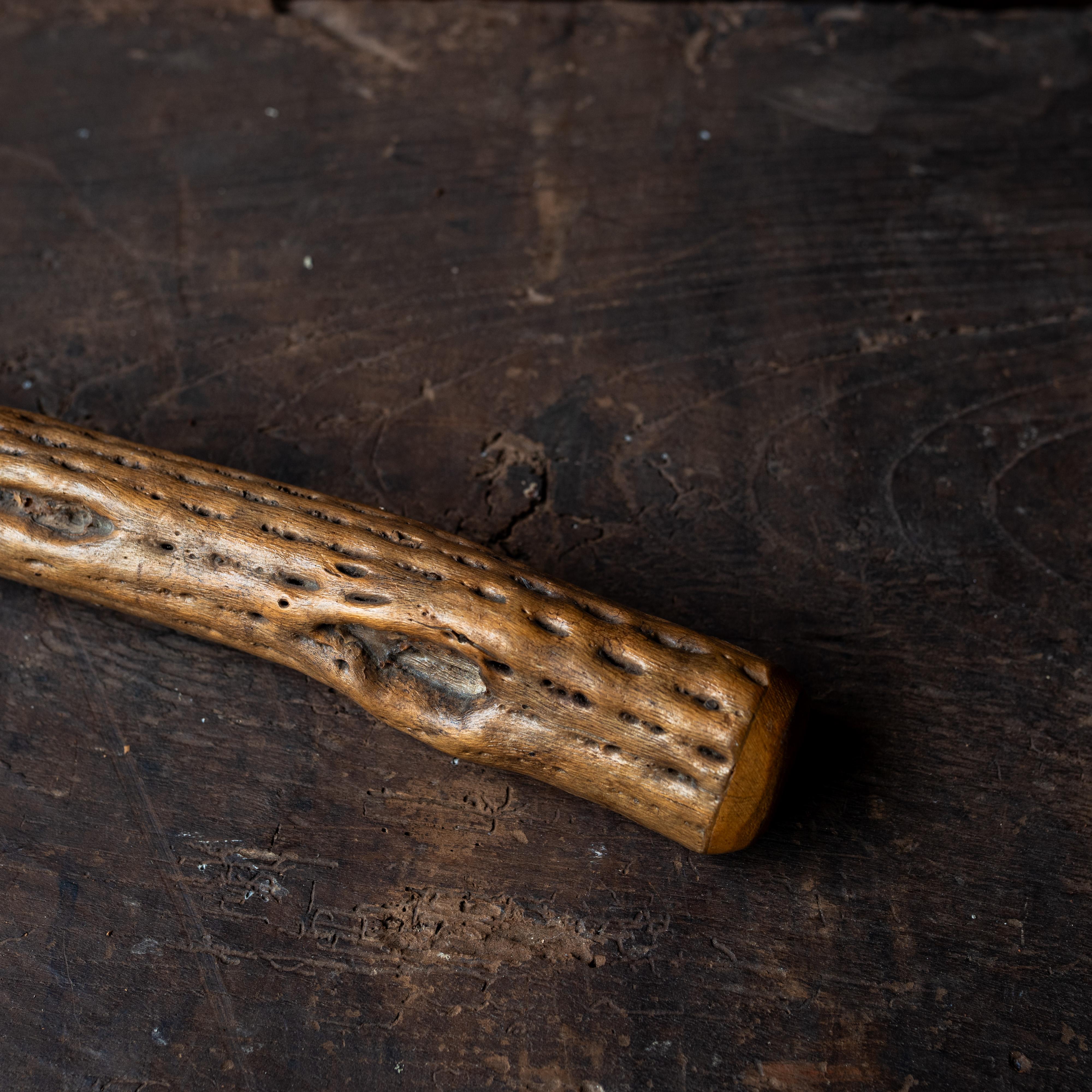 South American Organic Rain Stick with Sculptural Form, 20th Century For Sale