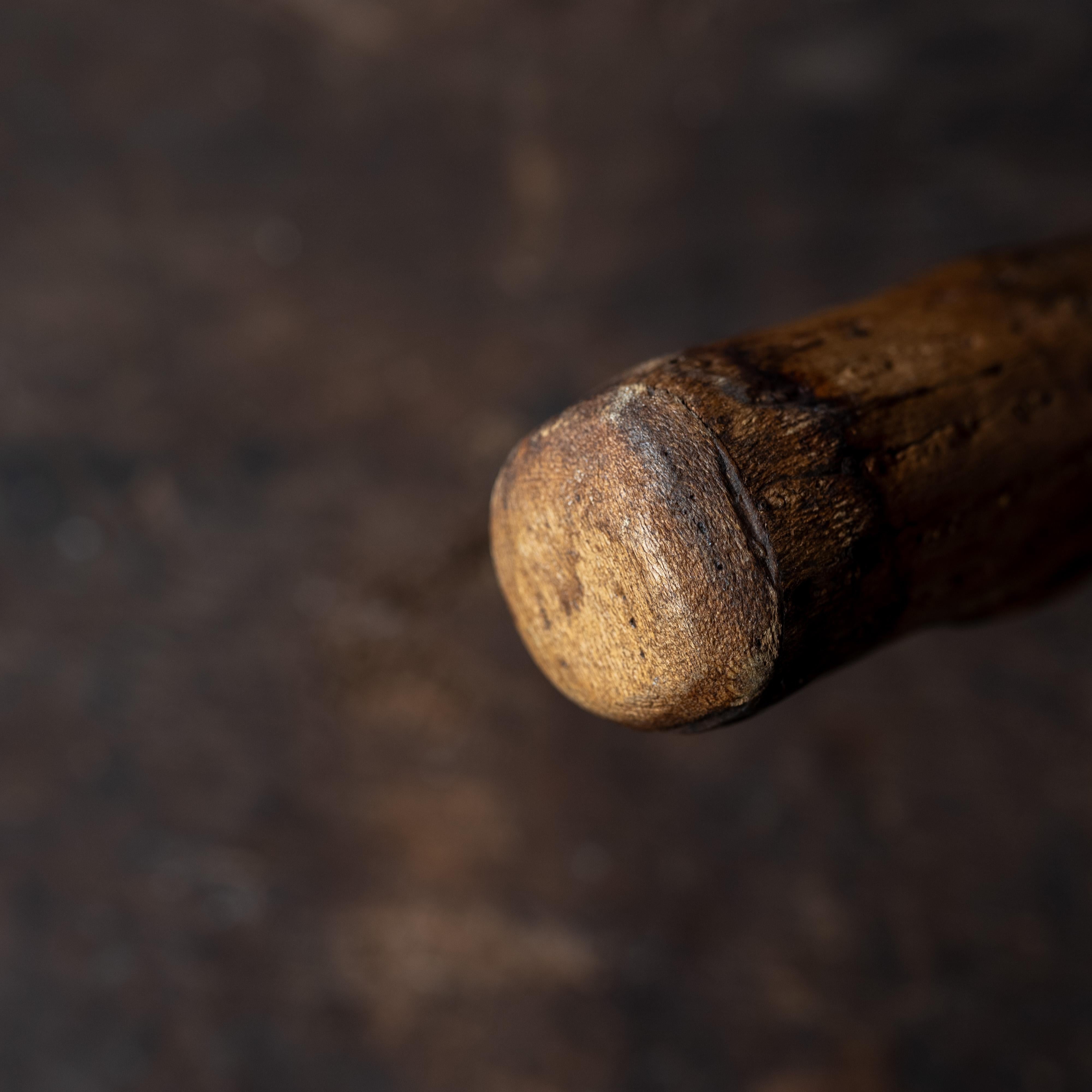 Wood Organic Rain Stick with Sculptural Form, 20th Century For Sale