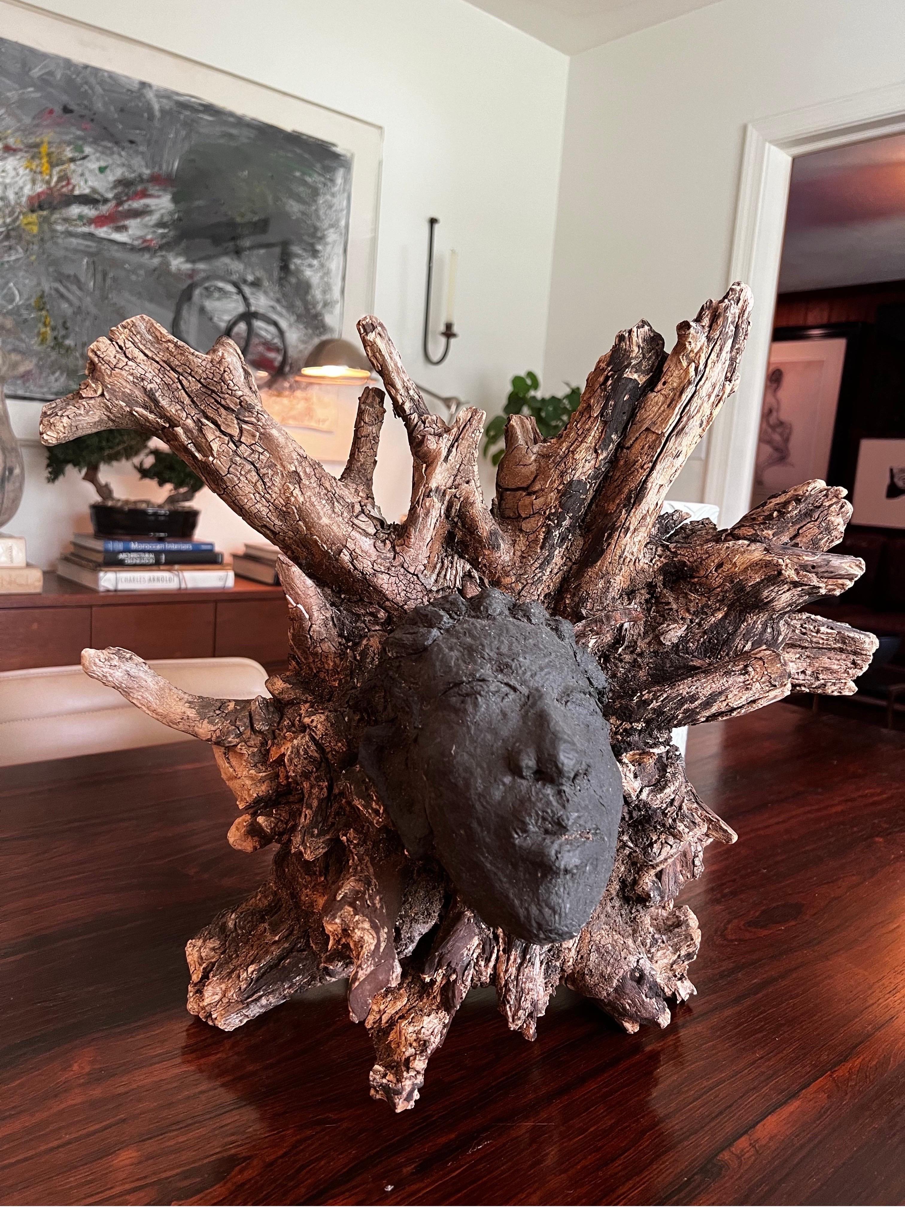 Pieza de arte única de coleccionista de Nueva Orleans.   Artista desconocido.
Raíz orgánica/madera de deriva con escultura de un rostro de roca fundida negra.

