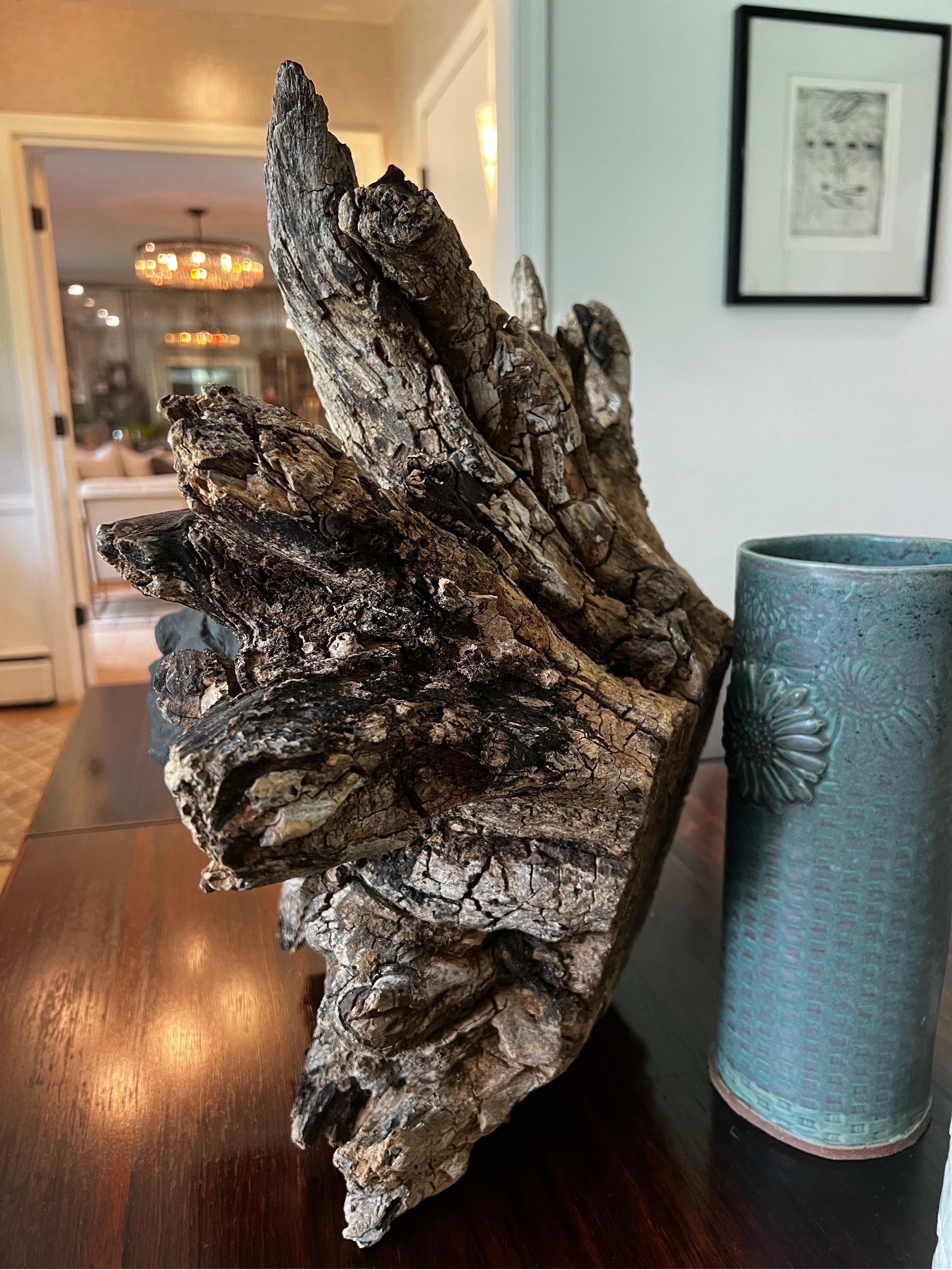 Escultura de Raíz Orgánica con Cara de Roca de Lava Fundida siglo XX en venta