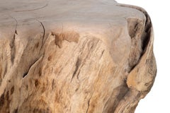 Organic Root Wood Form Outdoor Teak Side Table