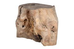 Organic Root Wood Form Outdoor Teak Side Table