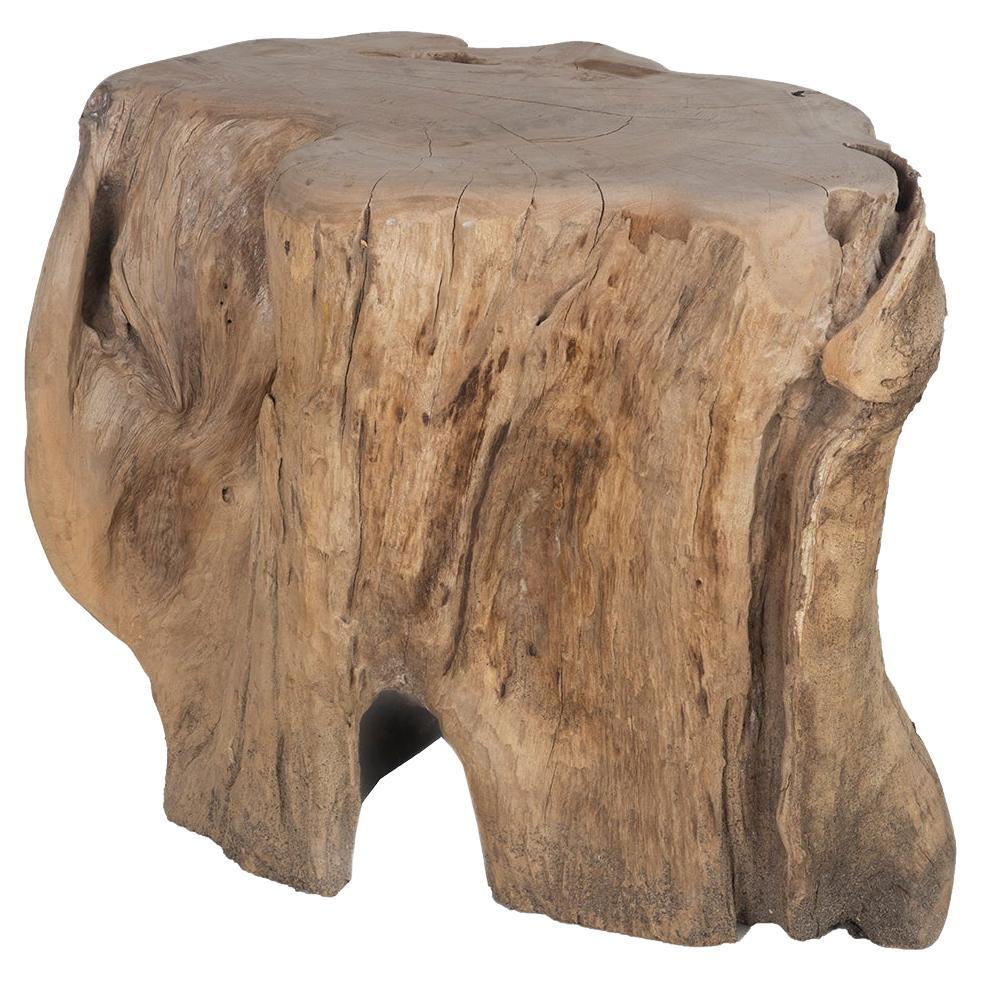 Tavolino in teak da esterno con radice organica Wood Form A