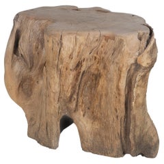 Organic Root Wood Form Outdoor Teak Side Table