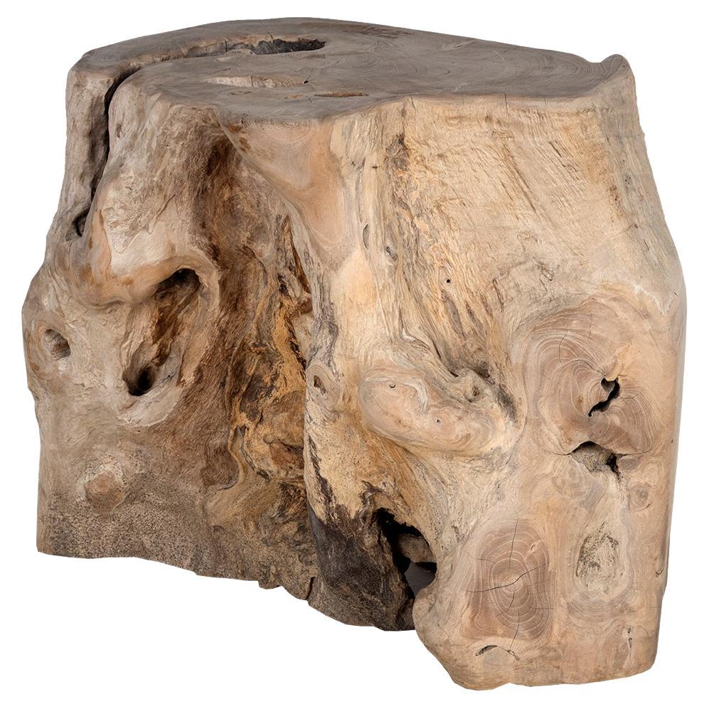 Organic Root Wood Form Outdoor Teak Side Table