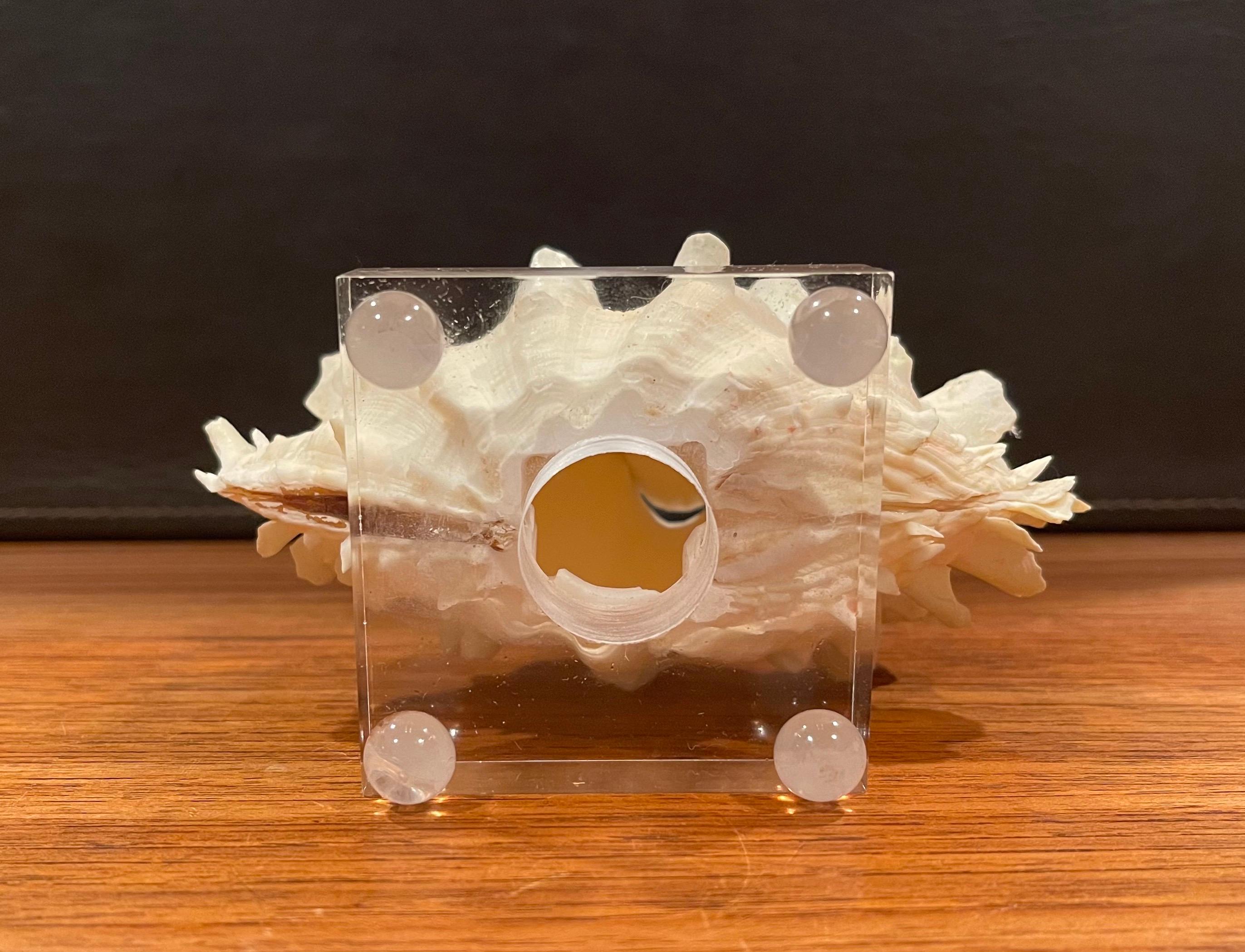 Organic Sculptural Clam Shell on Lucite Base 4