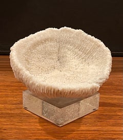 Organic Sculptural Coral Specimen on Lucite Base