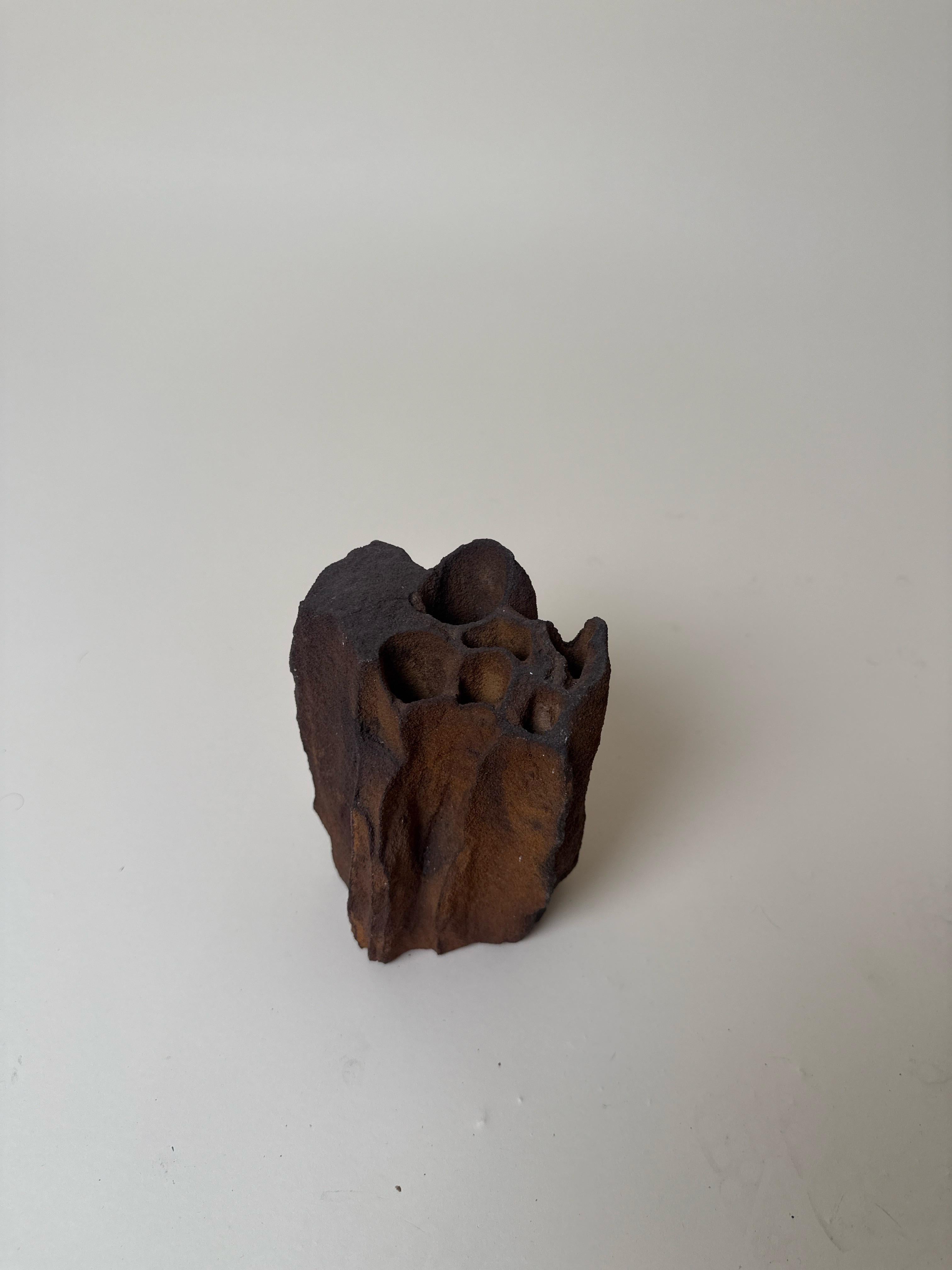 Organic Sculptural Metal Vase – Nature-Formed Abstract Vessel ...