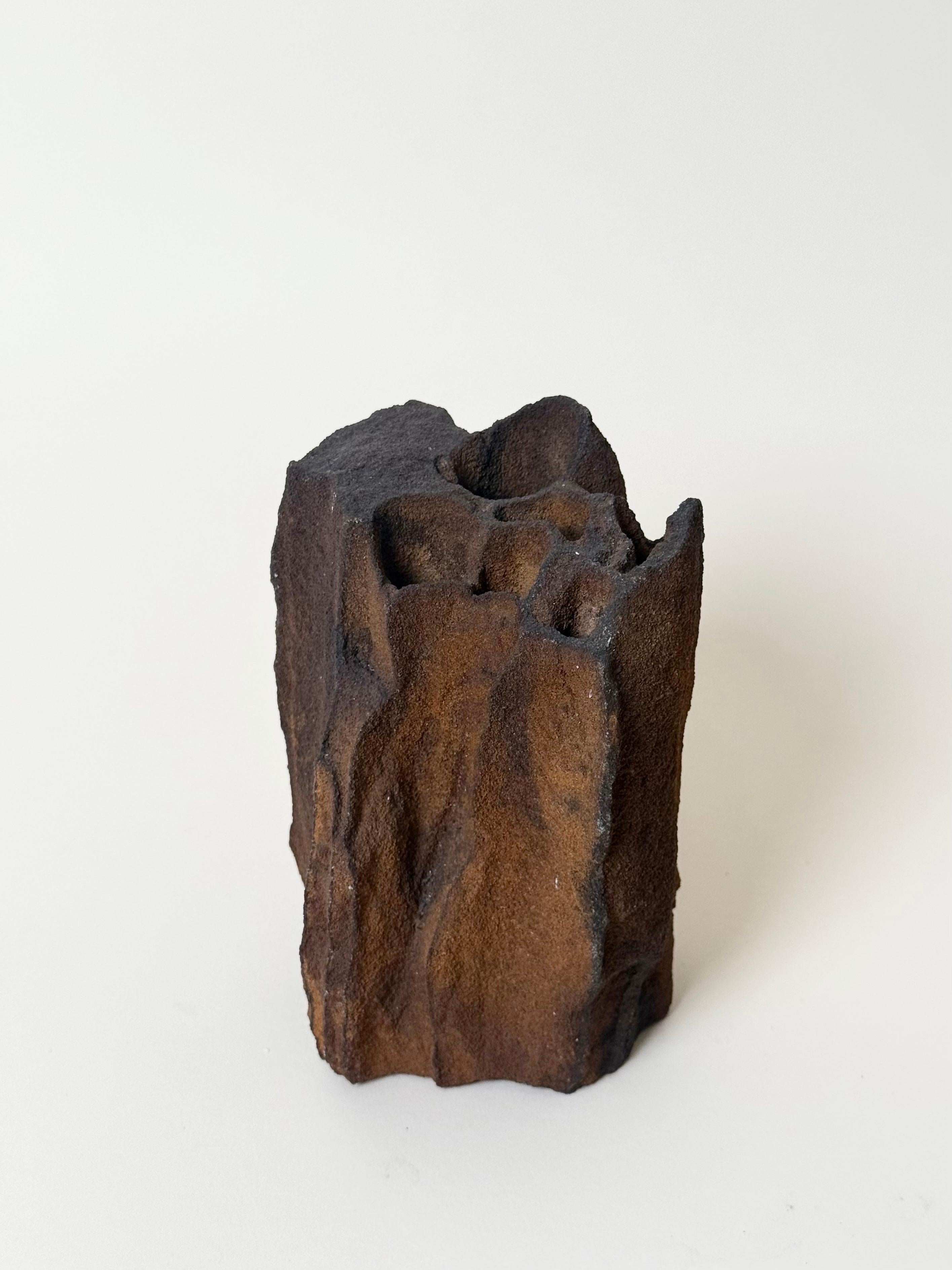 Organic Sculptural Metal Vase – Nature-Formed Abstract Vessel ...