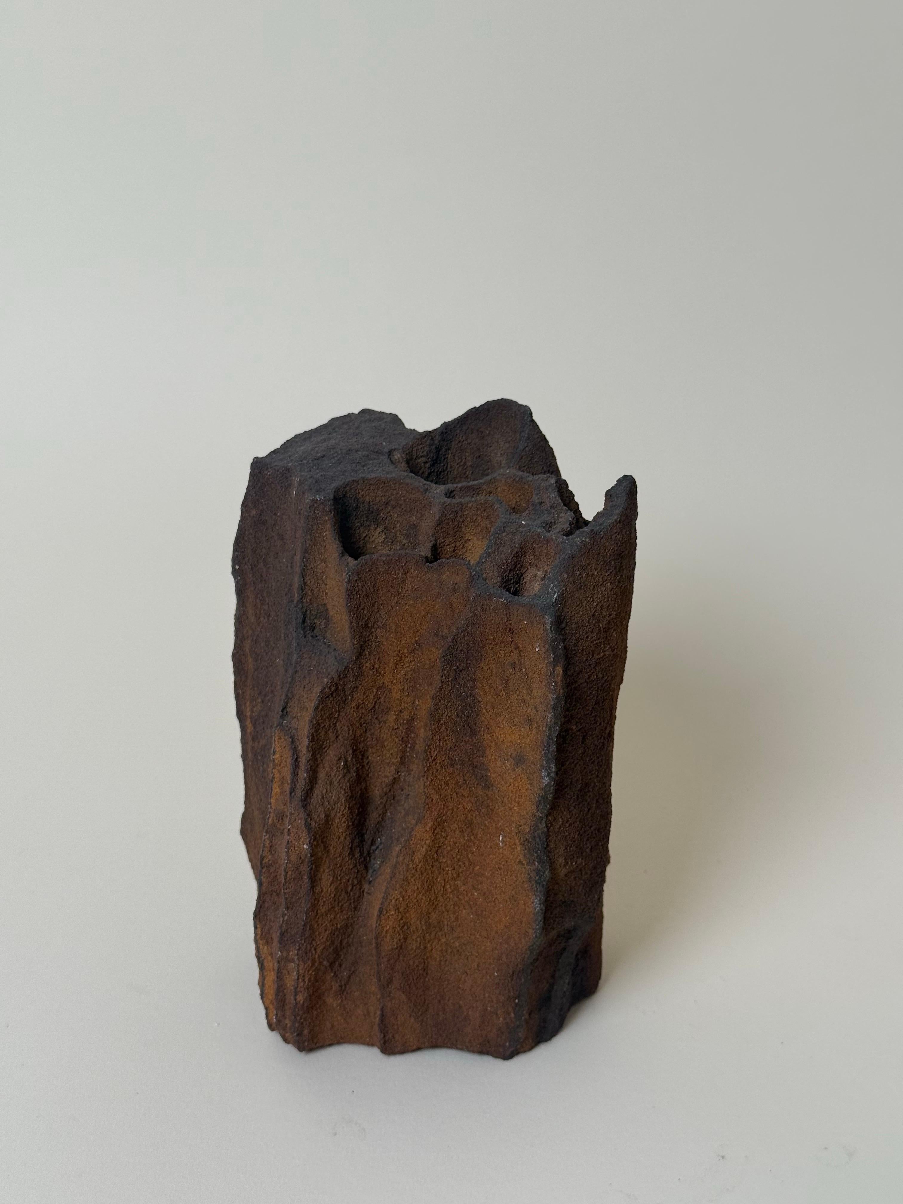 Organic Sculptural Metal Vase – Nature-Formed Abstract Vessel ...