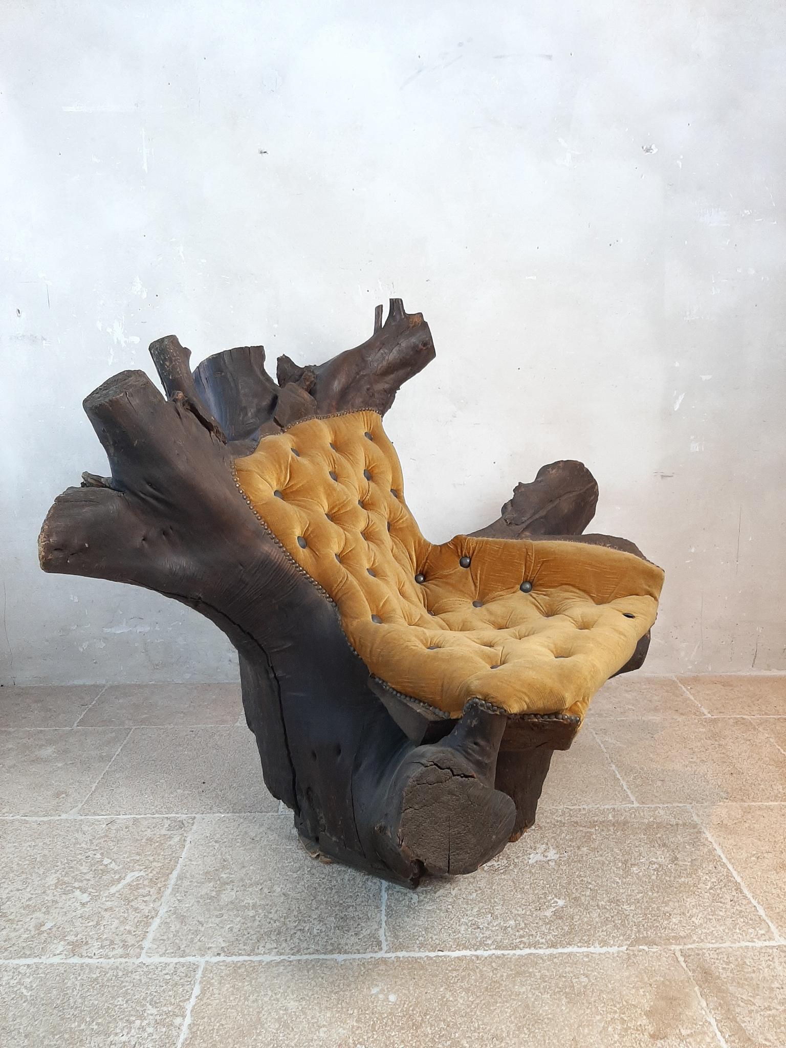 tree root chairs