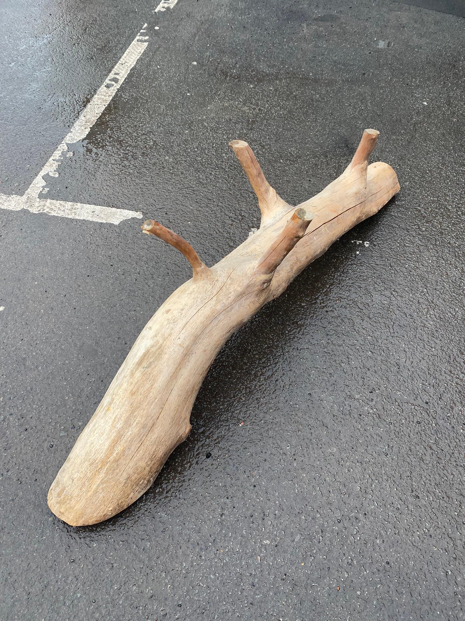 Organic Sculpture Bench Carved from a Tree Branch Around 1970/1980 For Sale 3