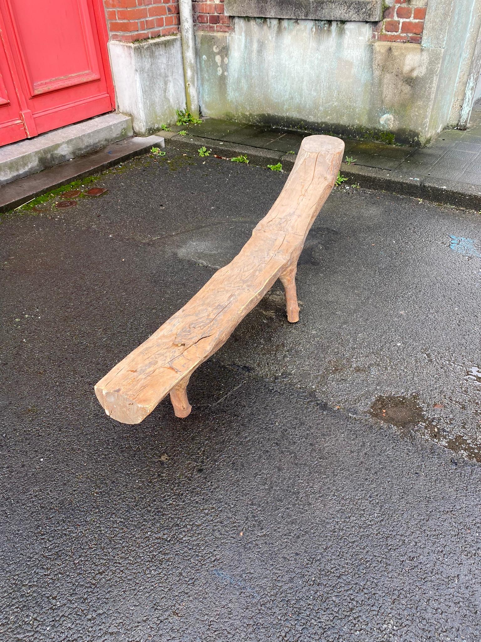 Organic Modern Organic Sculpture Bench Carved from a Tree Branch Around 1970/1980 For Sale