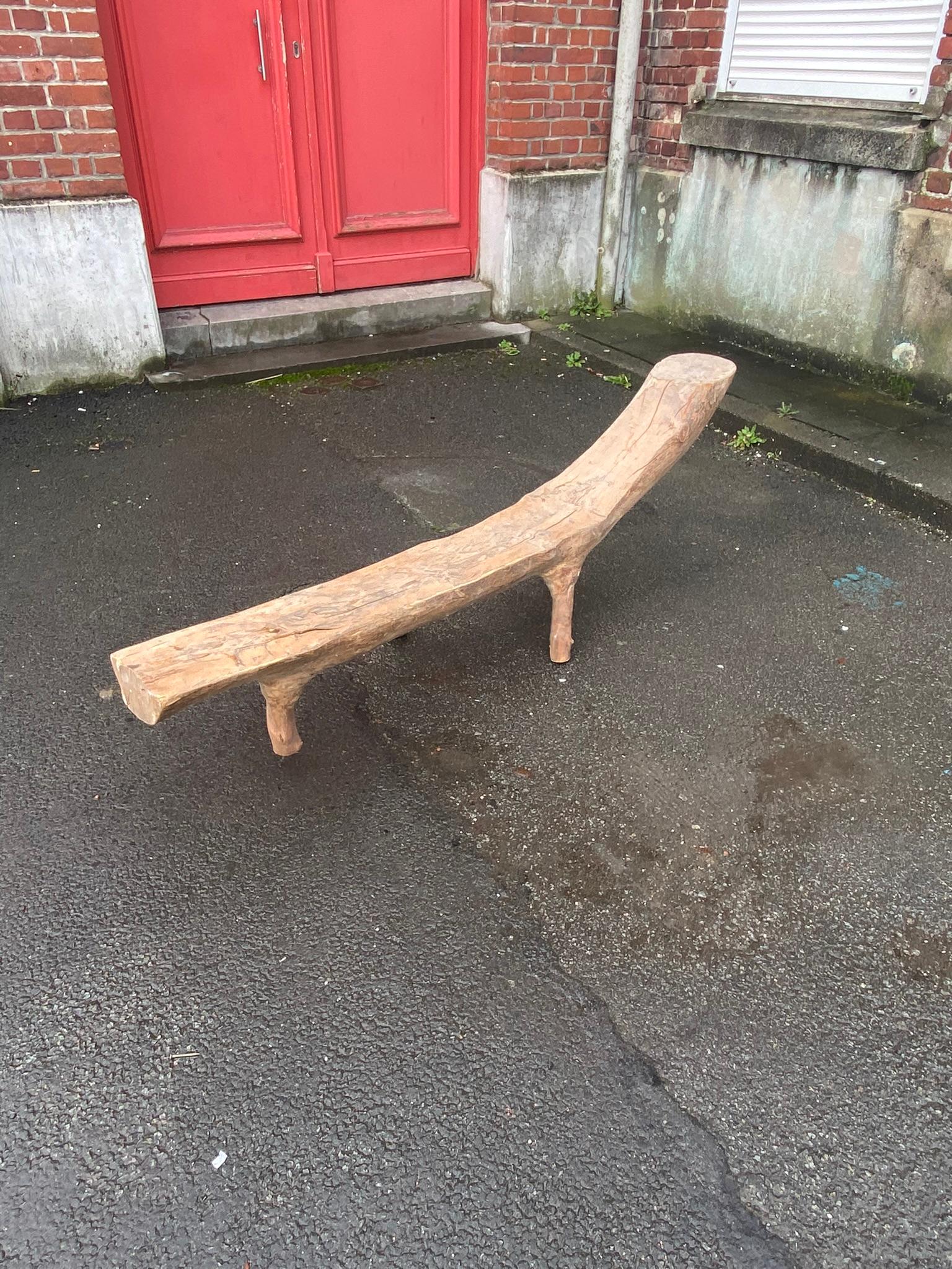 Organic Sculpture Bench Carved from a Tree Branch Around 1970/1980 For Sale 1