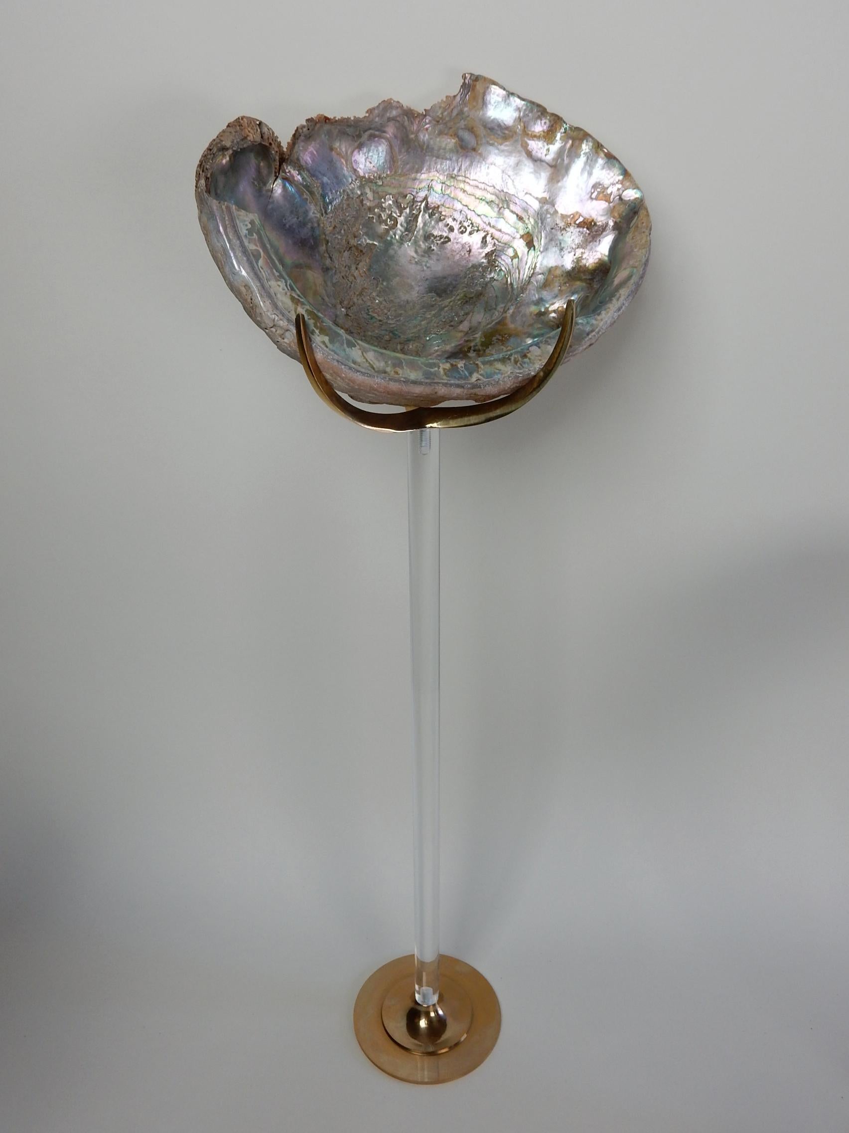 Organic Sculpture by Arthur Court, Lucite and Brass with Conch and Abalone Shell 1