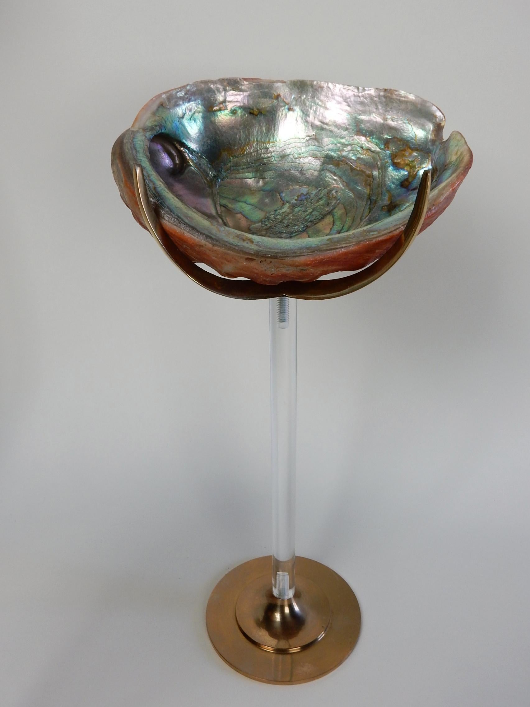 Organic Sculpture by Arthur Court, Lucite and Brass with Conch and Abalone Shell 2