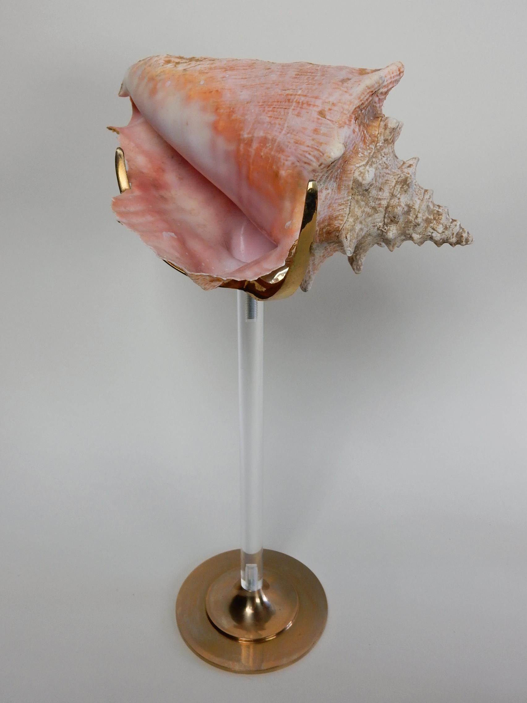 Organic Sculpture by Arthur Court, Lucite and Brass with Conch and Abalone Shell In Good Condition In Las Vegas, NV
