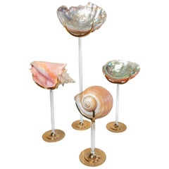 Decorative Objects