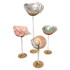 Sculpture organique d'Arthur Court, Lucite et laiton avec conque et coquille d'ormeau