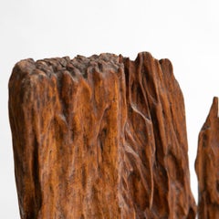Organic sculpture in Narra hardwood from the Philippines