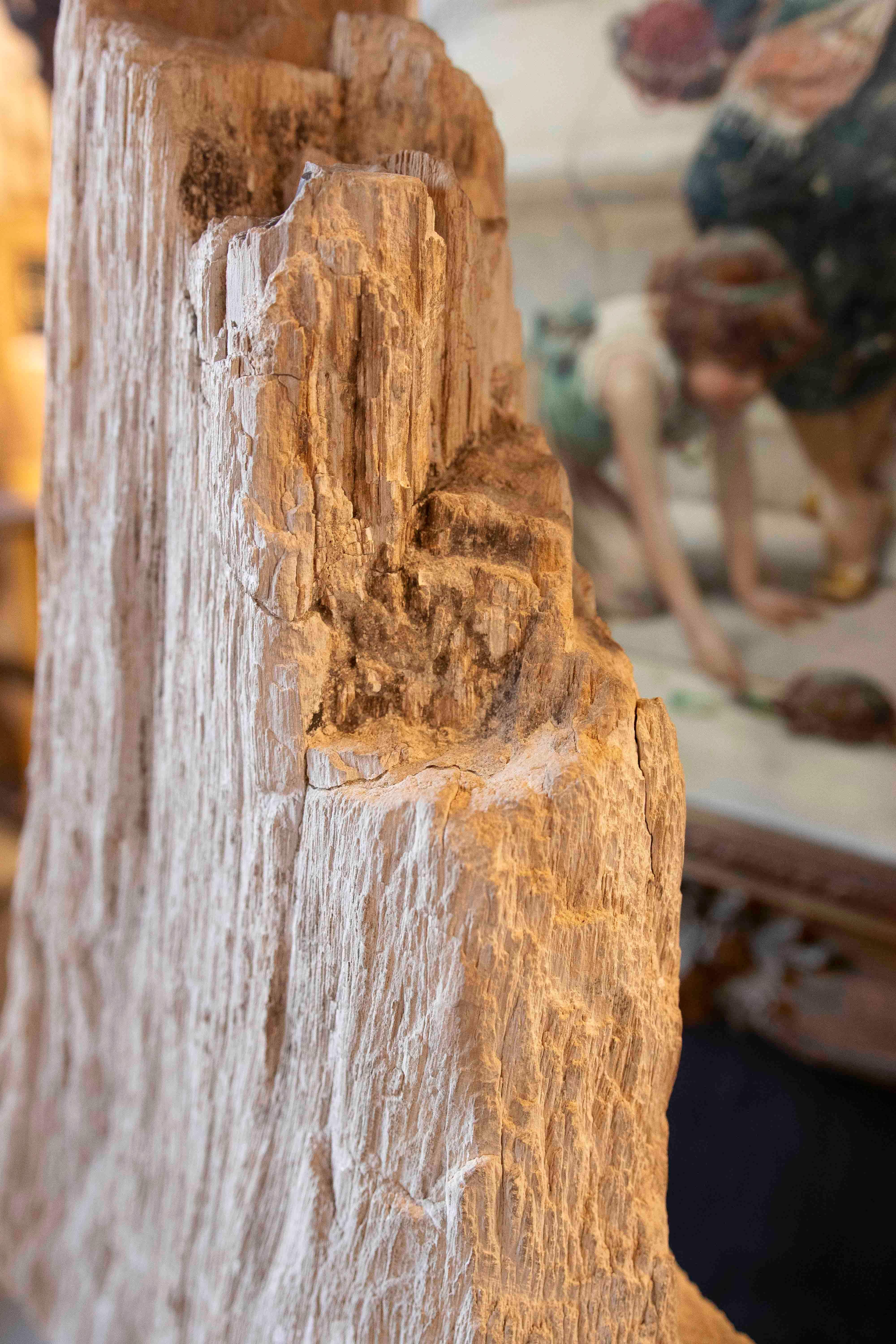 Scultura organica di un albero fossilizzato con base in legno in vendita 4