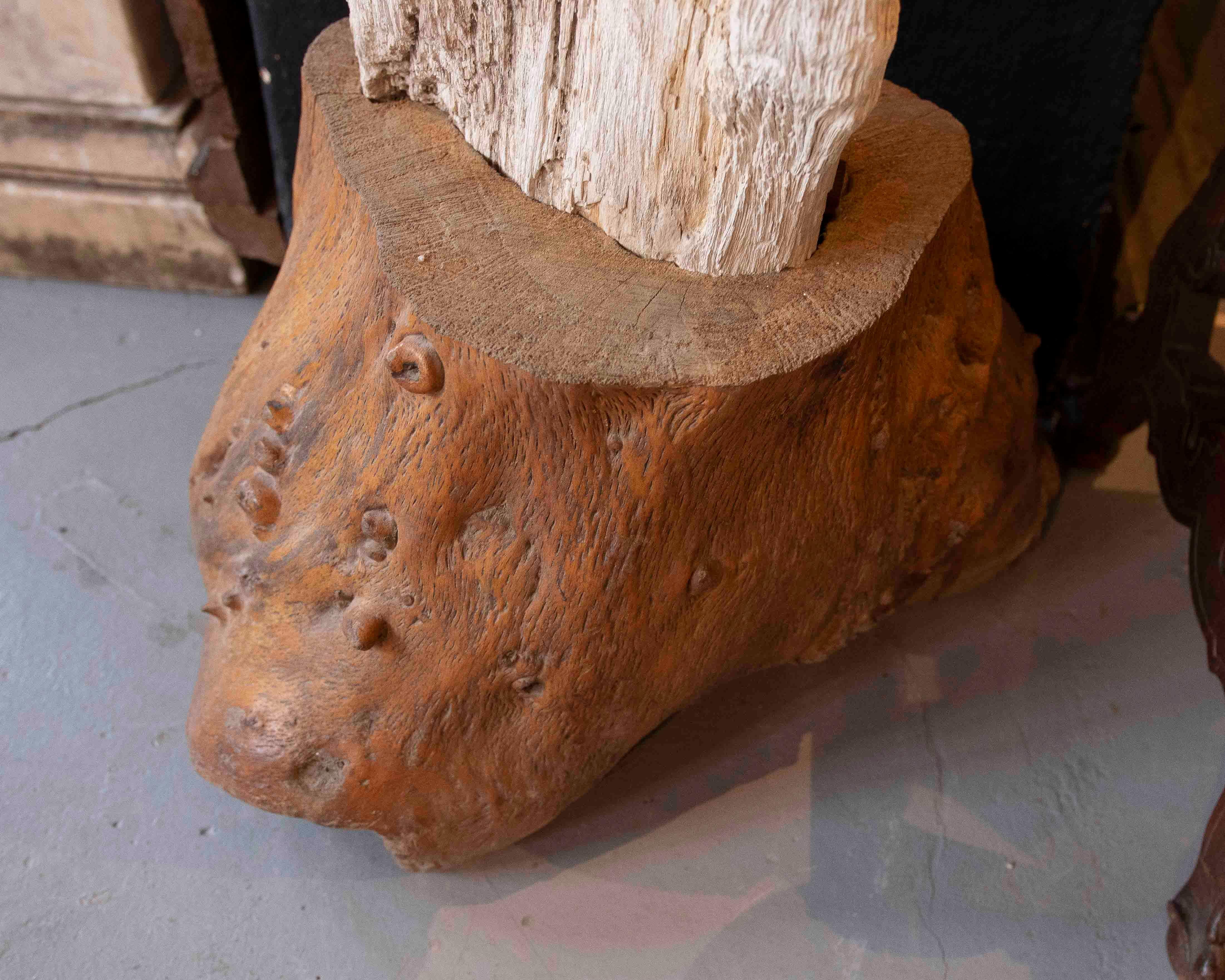 Scultura organica di un albero fossilizzato con base in legno in vendita 6
