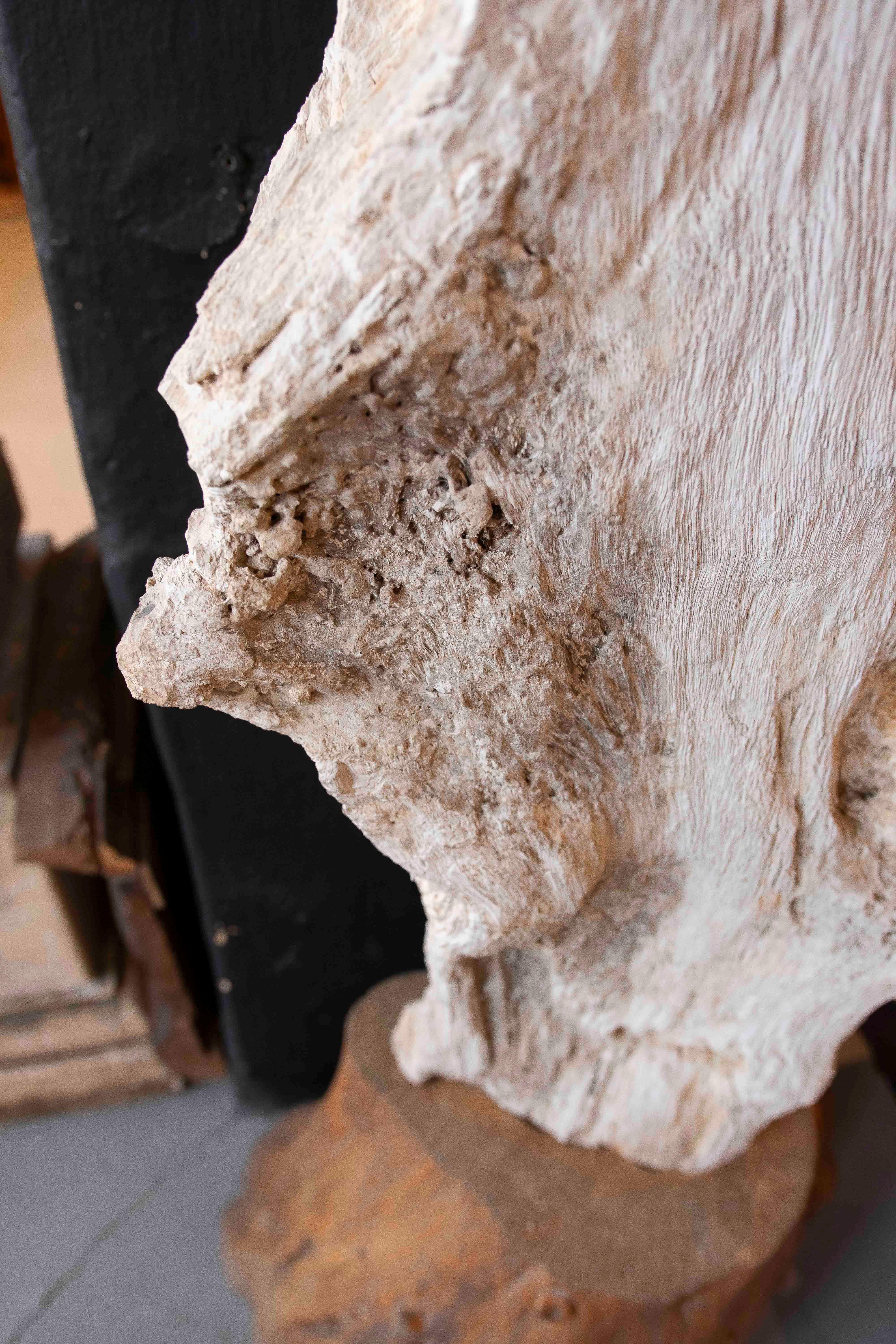Scultura organica di un albero fossilizzato con base in legno in vendita 7