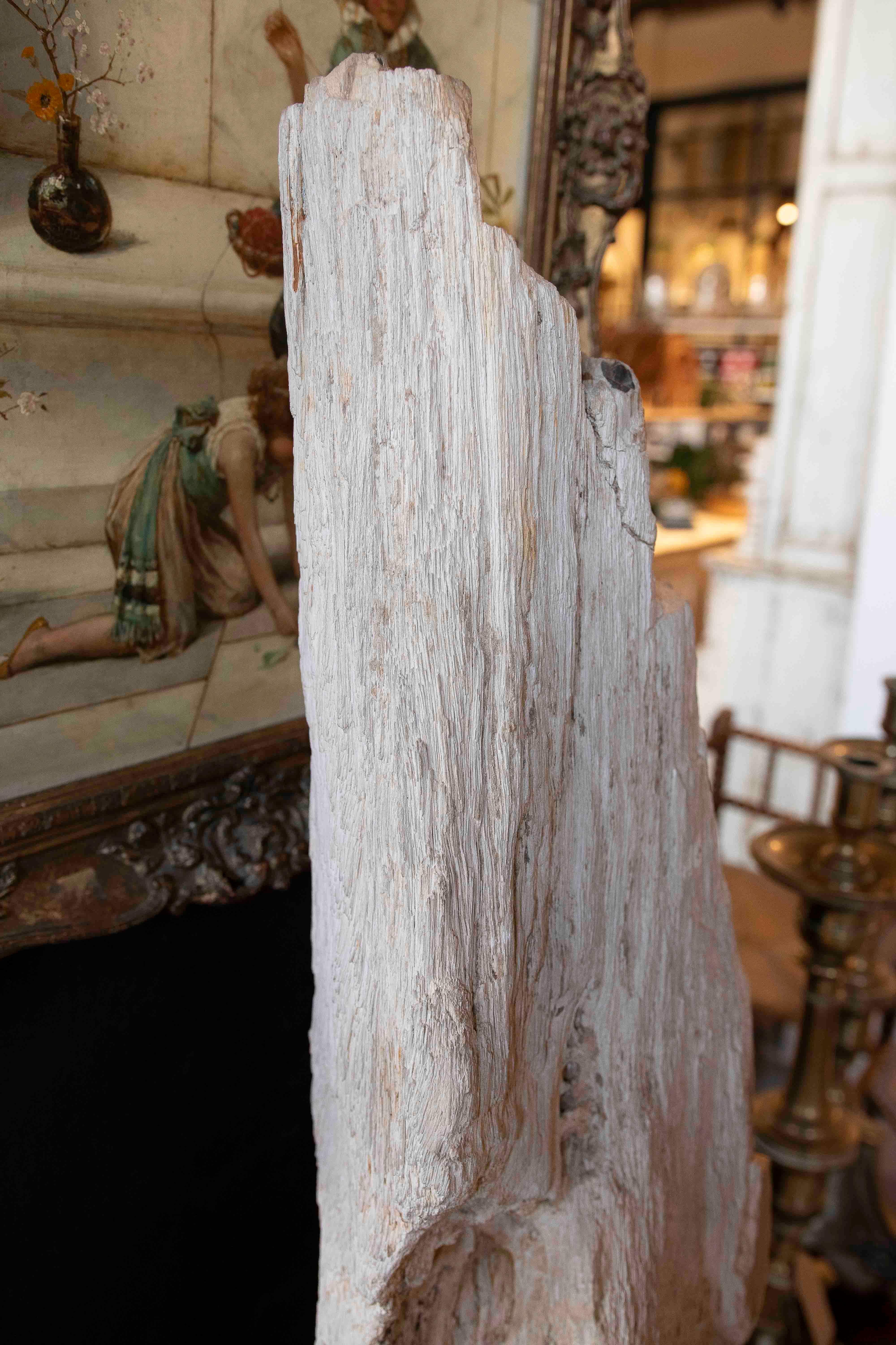 Scultura organica di un albero fossilizzato con base in legno in vendita 8