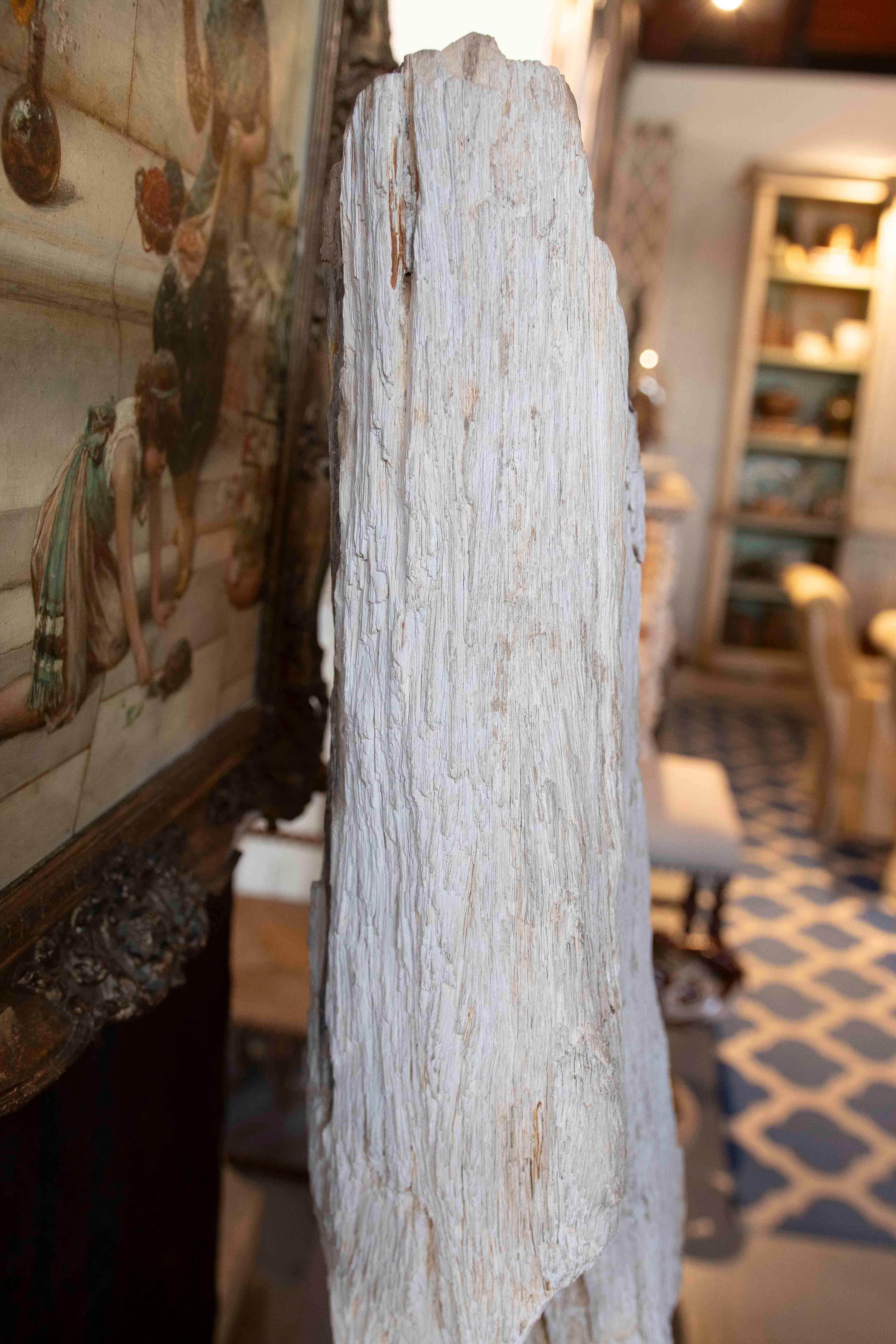 Scultura organica di un albero fossilizzato con base in legno in vendita 9