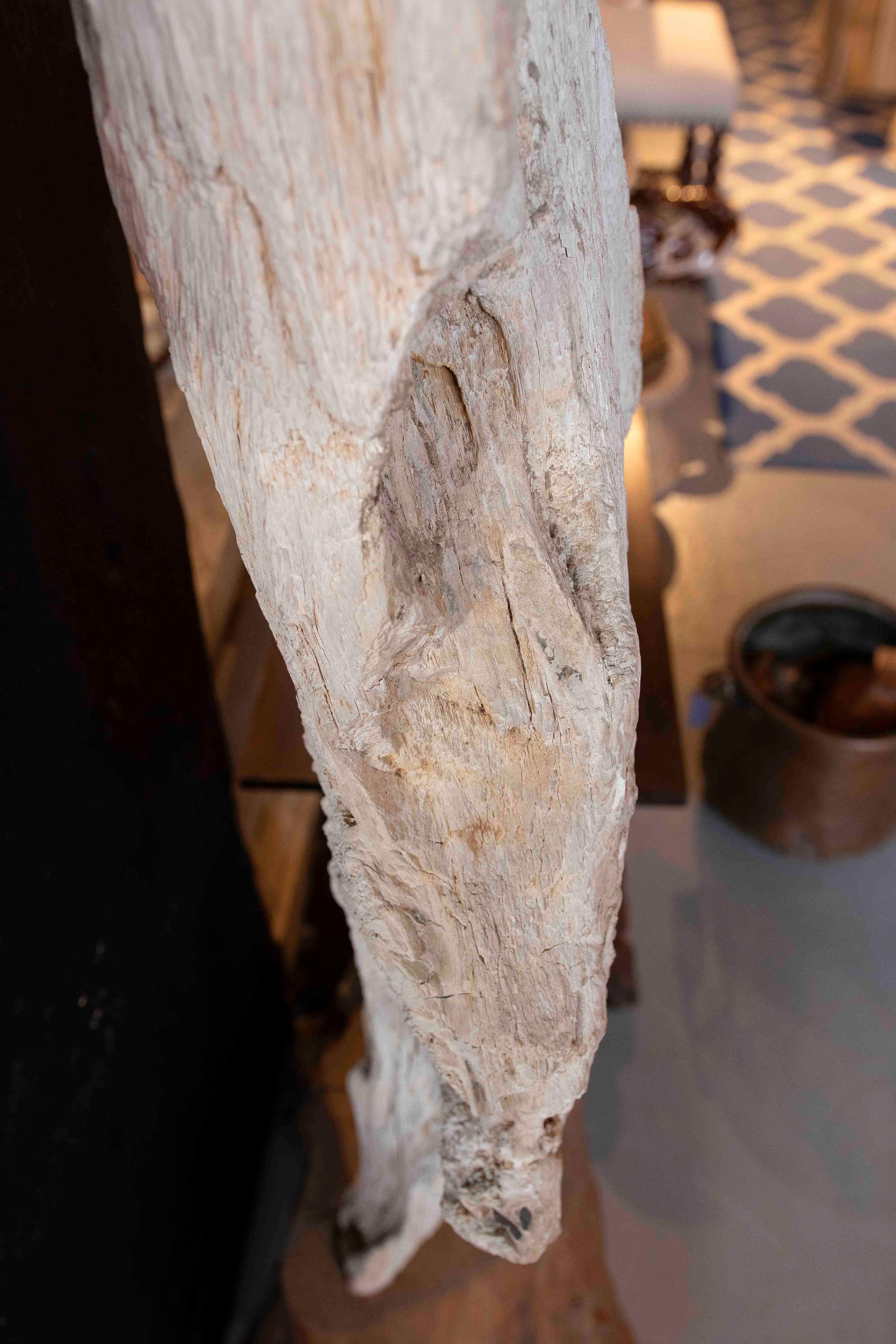 Scultura organica di un albero fossilizzato con base in legno in vendita 10