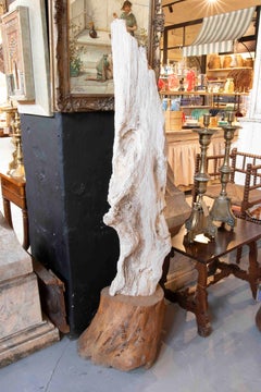 Organic Sculpture of a Fossilized Tree with a Wooden Base