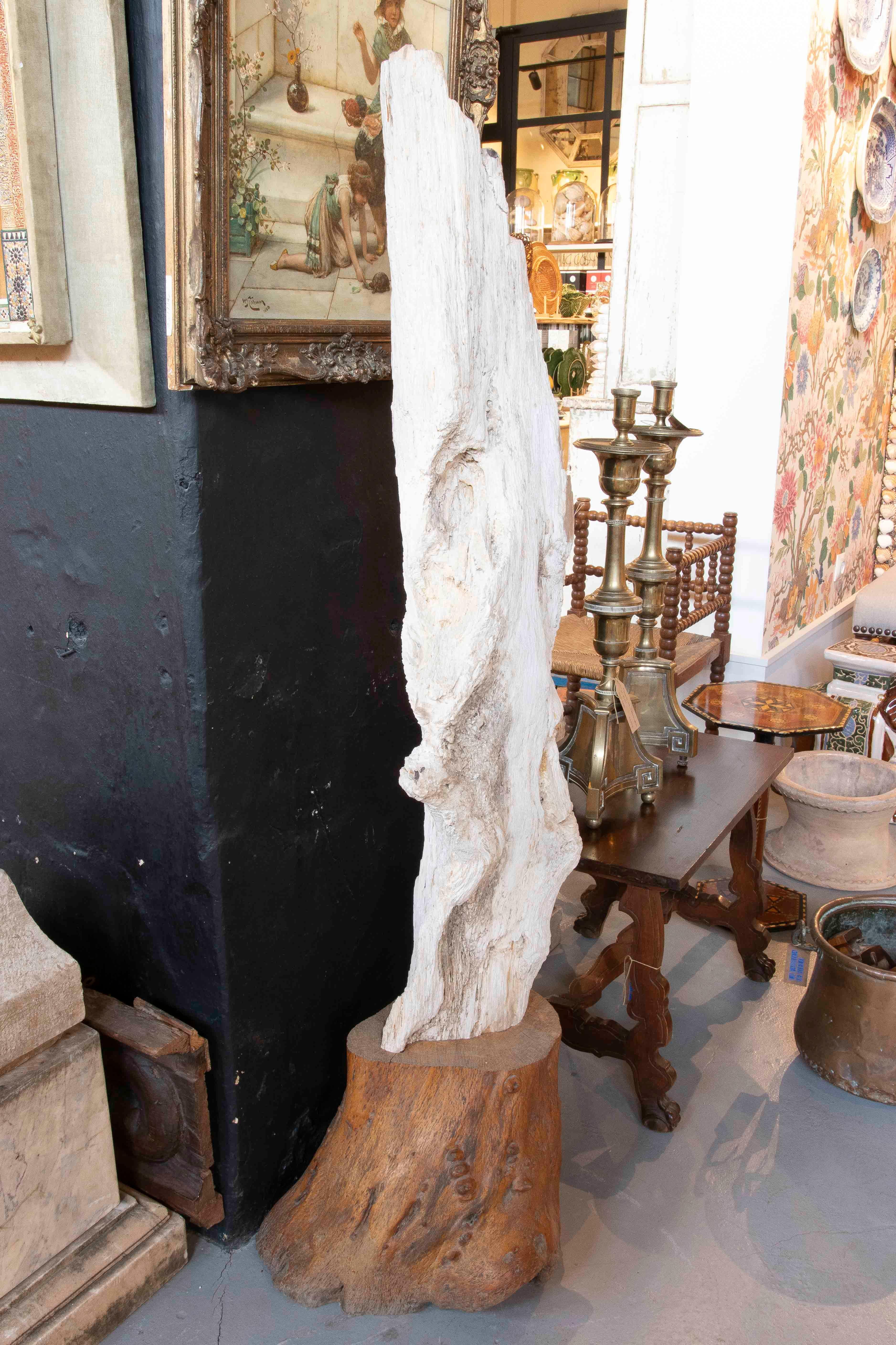 Asiatico Scultura organica di un albero fossilizzato con base in legno in vendita