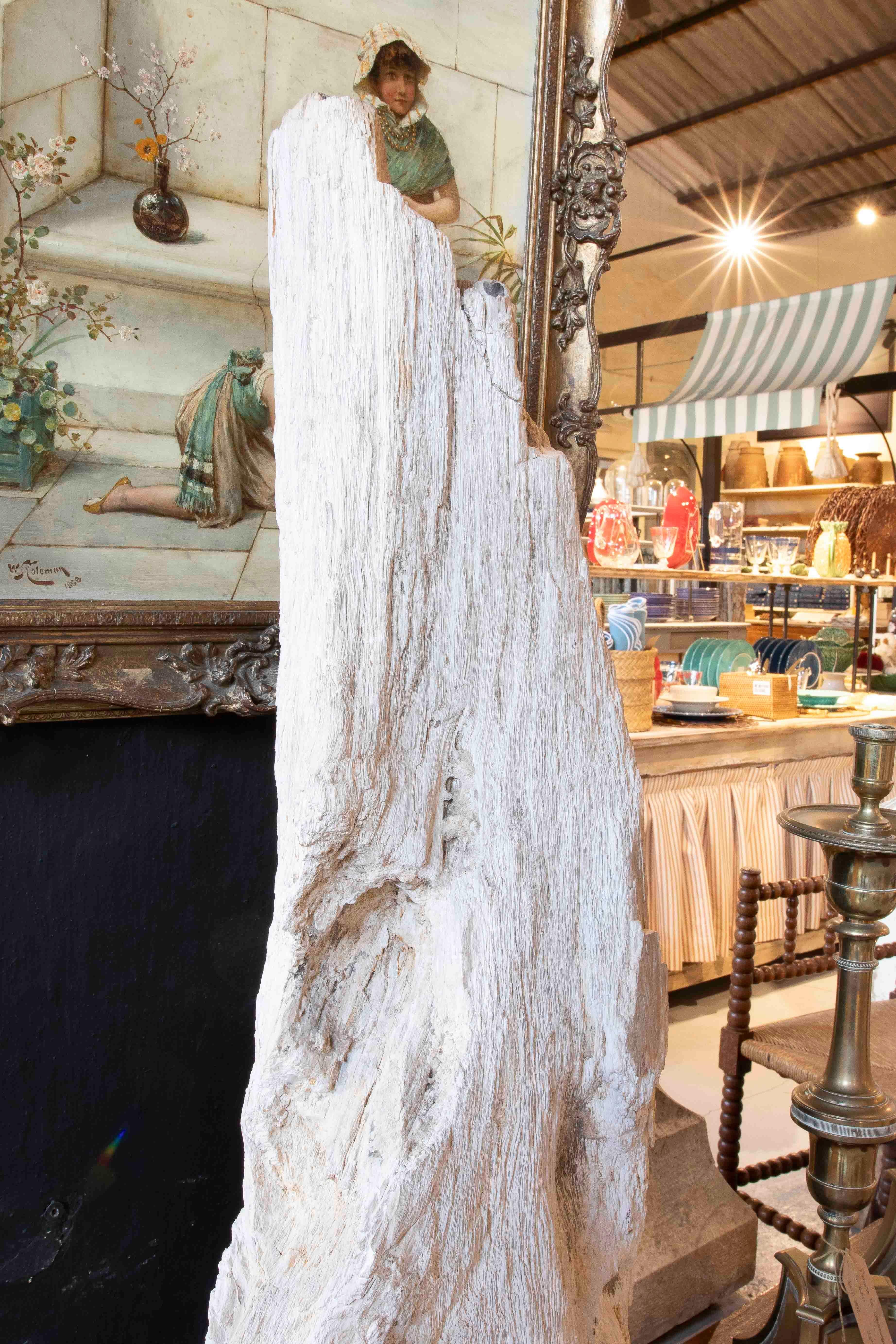 Scultura organica di un albero fossilizzato con base in legno In condizioni buone in vendita a Marbella, ES
