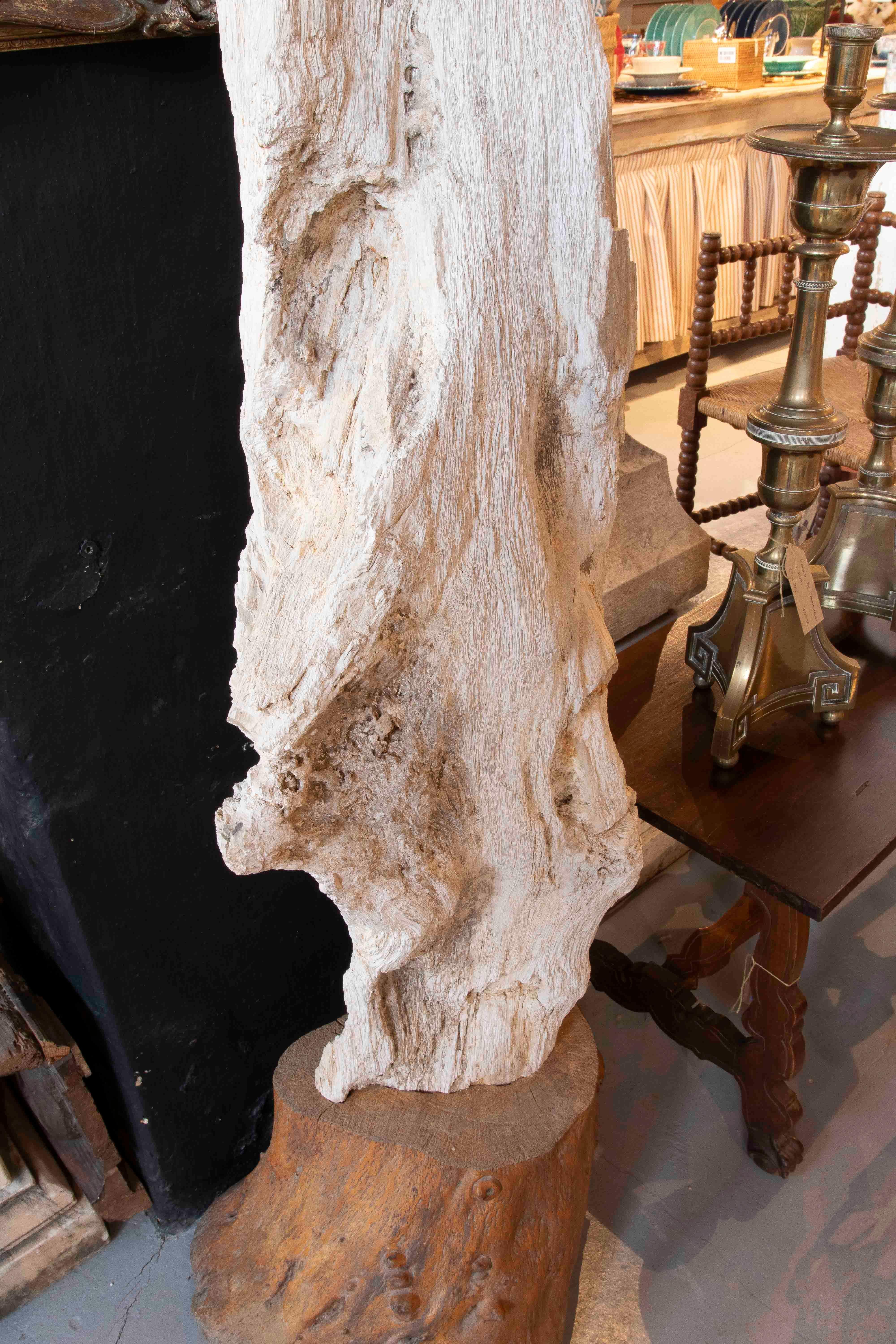 Fino al XVIII secolo Scultura organica di un albero fossilizzato con base in legno in vendita