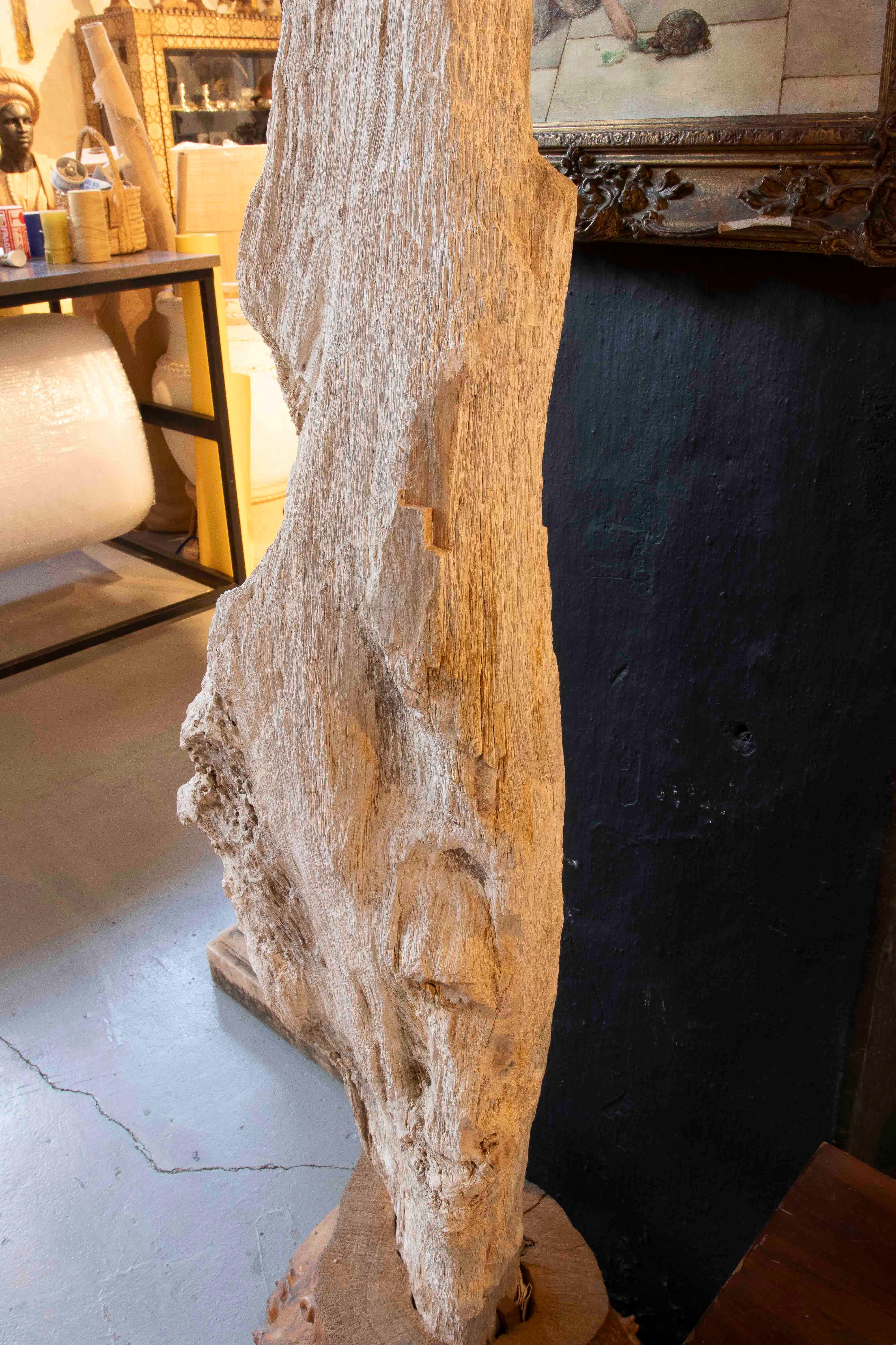 Pietra Scultura organica di un albero fossilizzato con base in legno in vendita