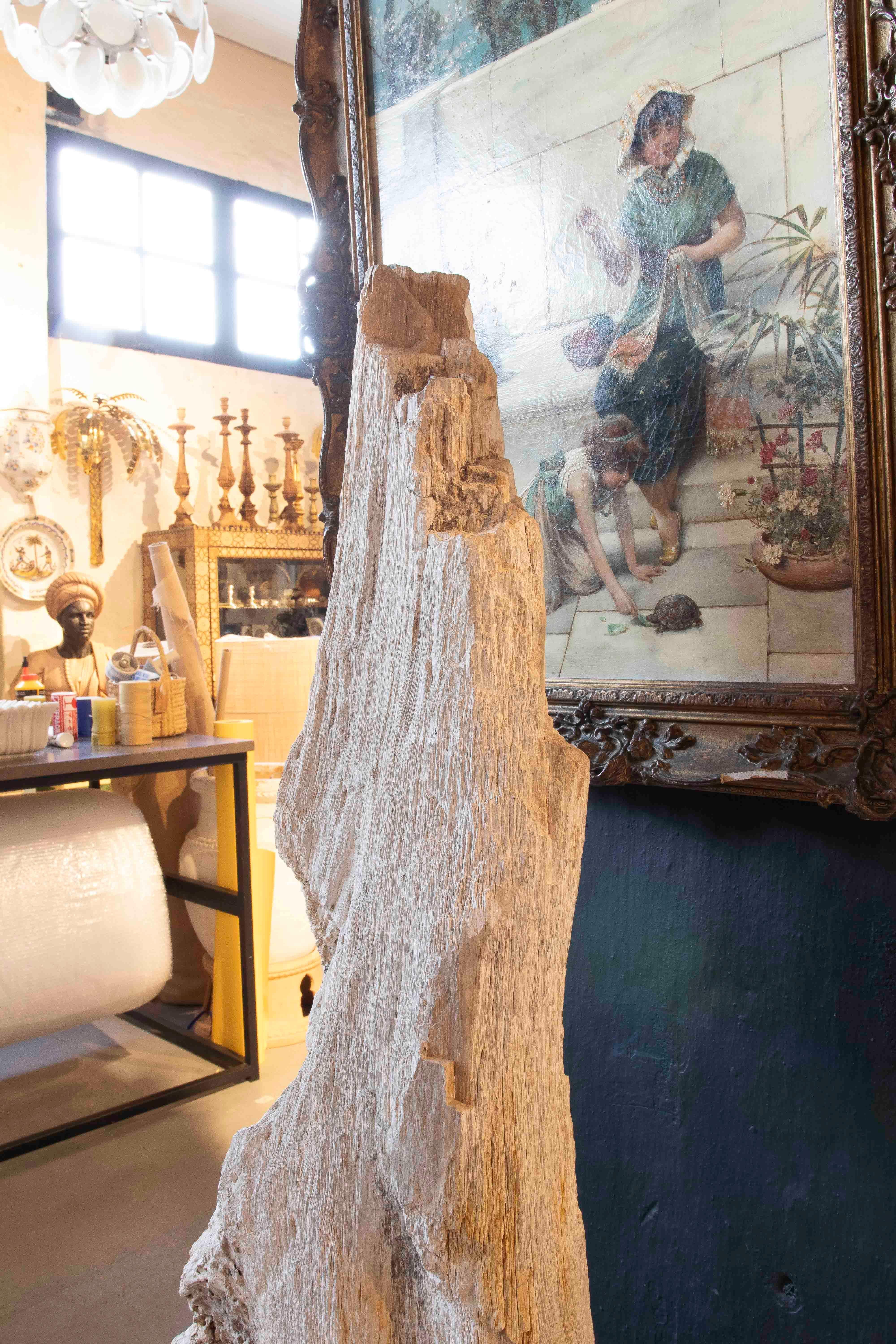 Scultura organica di un albero fossilizzato con base in legno in vendita 1