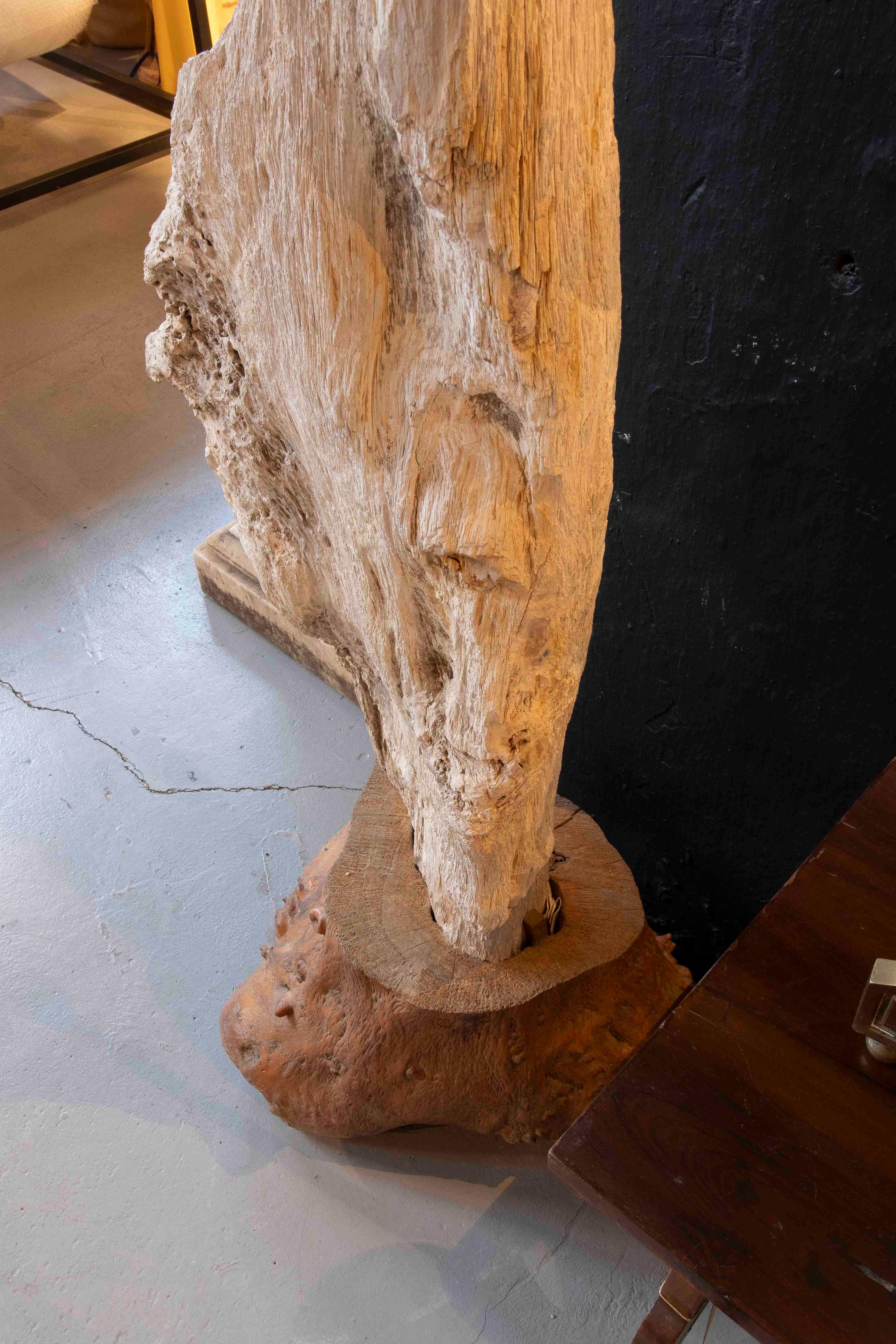 Scultura organica di un albero fossilizzato con base in legno in vendita 2