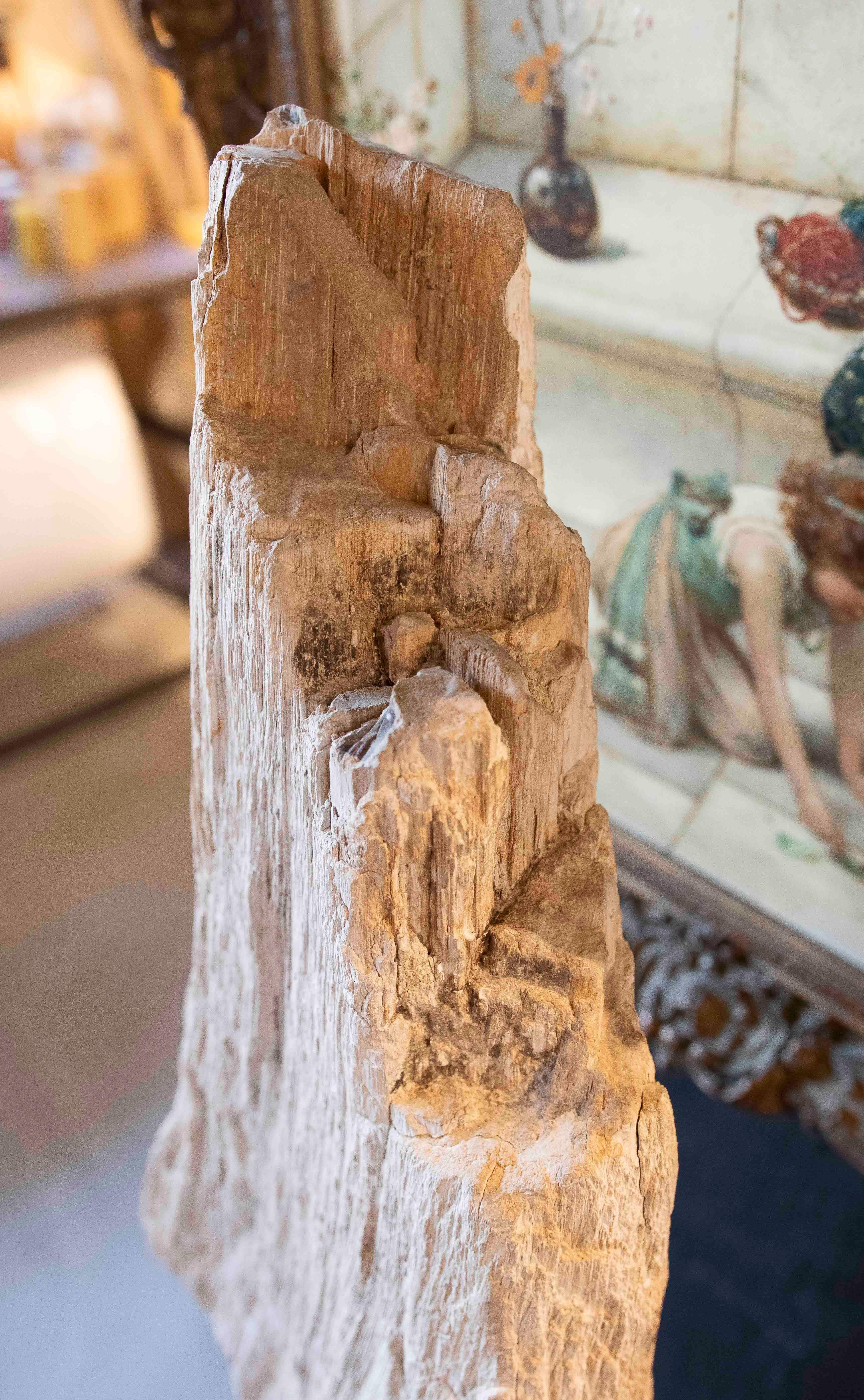 Scultura organica di un albero fossilizzato con base in legno in vendita 3
