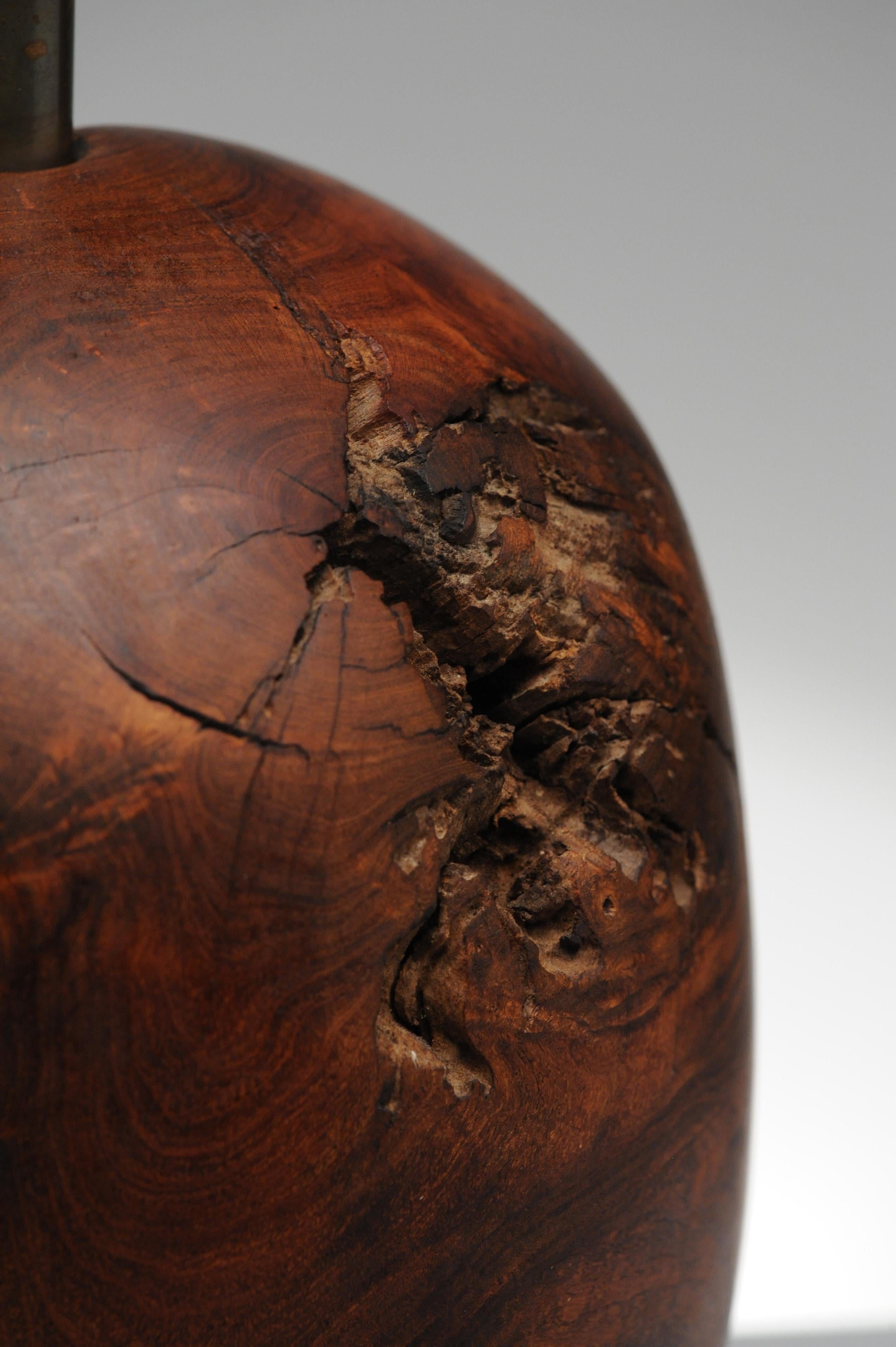 Organic Sculpture Turned Mesquite Table Lamp by Chris Eggers 5