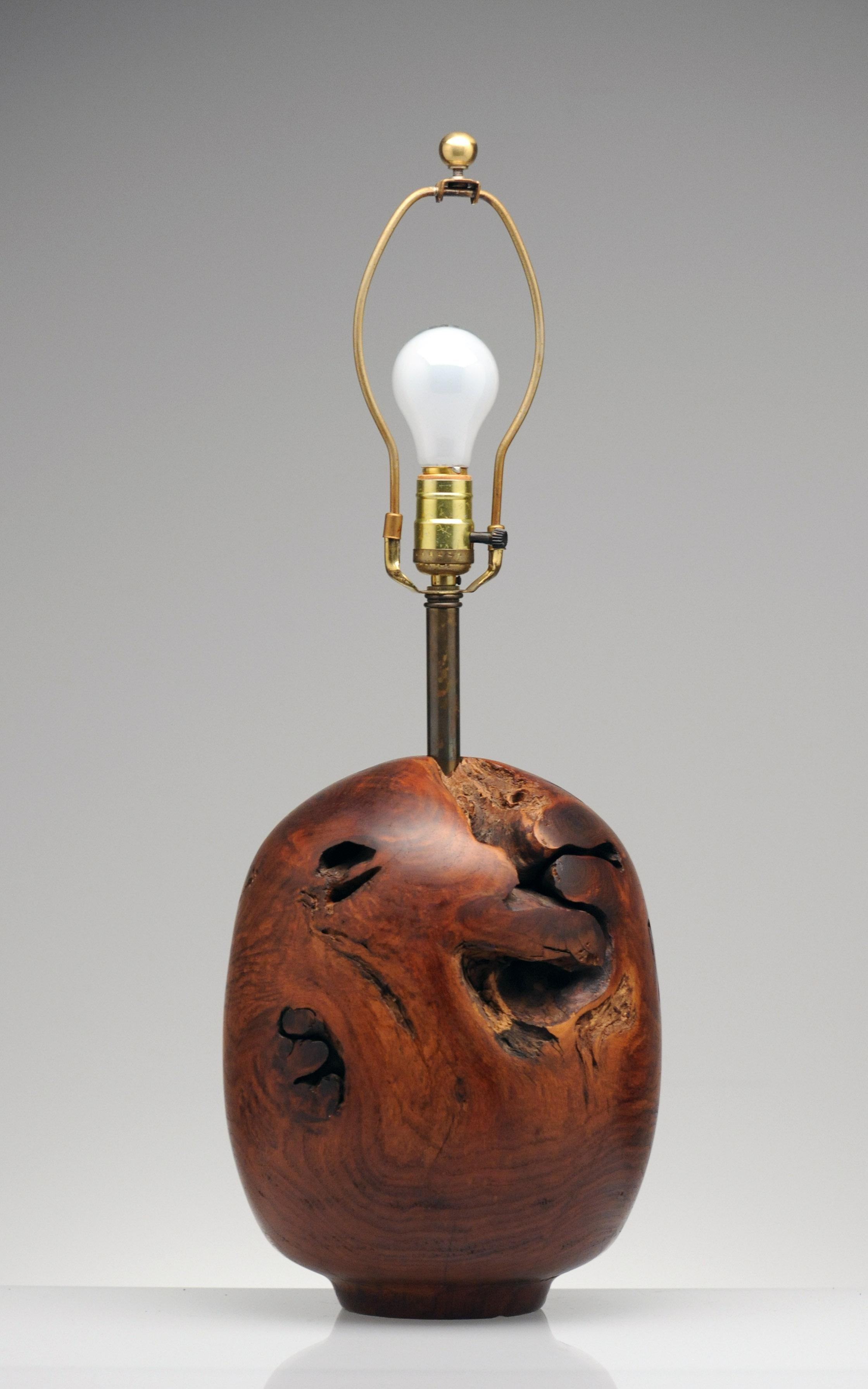mesquite lamp with copper shade