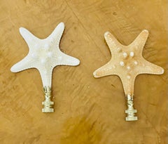 Juego de remates para lámparas con conchas de estrellas de mar orgánicas