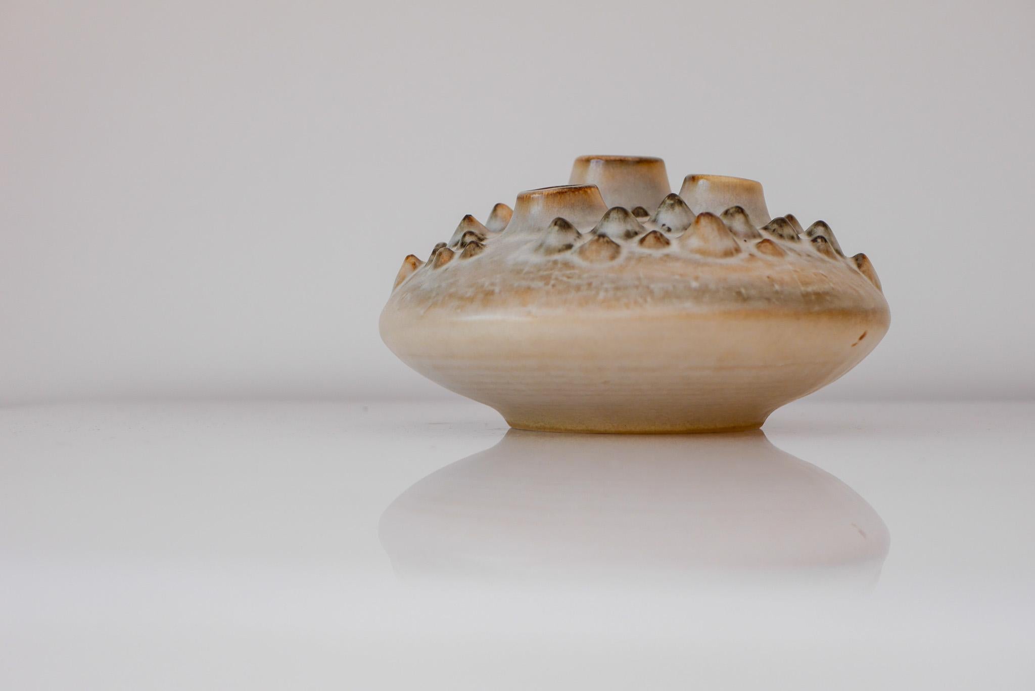 Vaso organico 'Sea Urchin' di Einar Johansen per Soholm, Danimarca in vendita 11