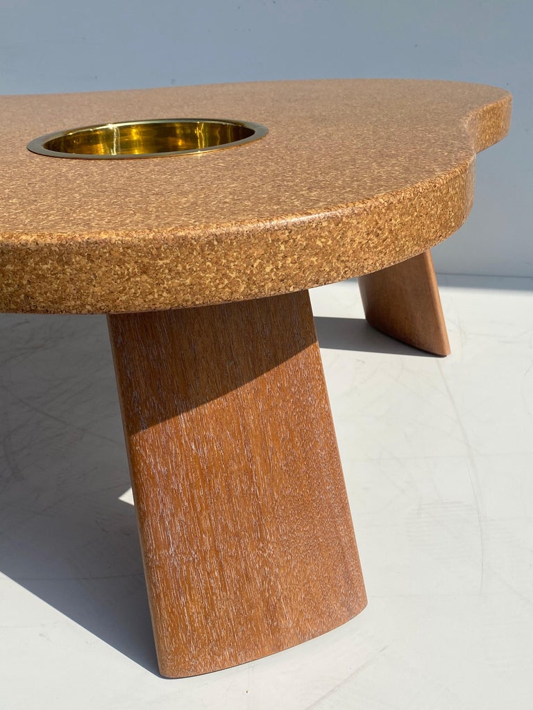 Organic Shape Cork and Mahogany Coffee Table with Planter ...